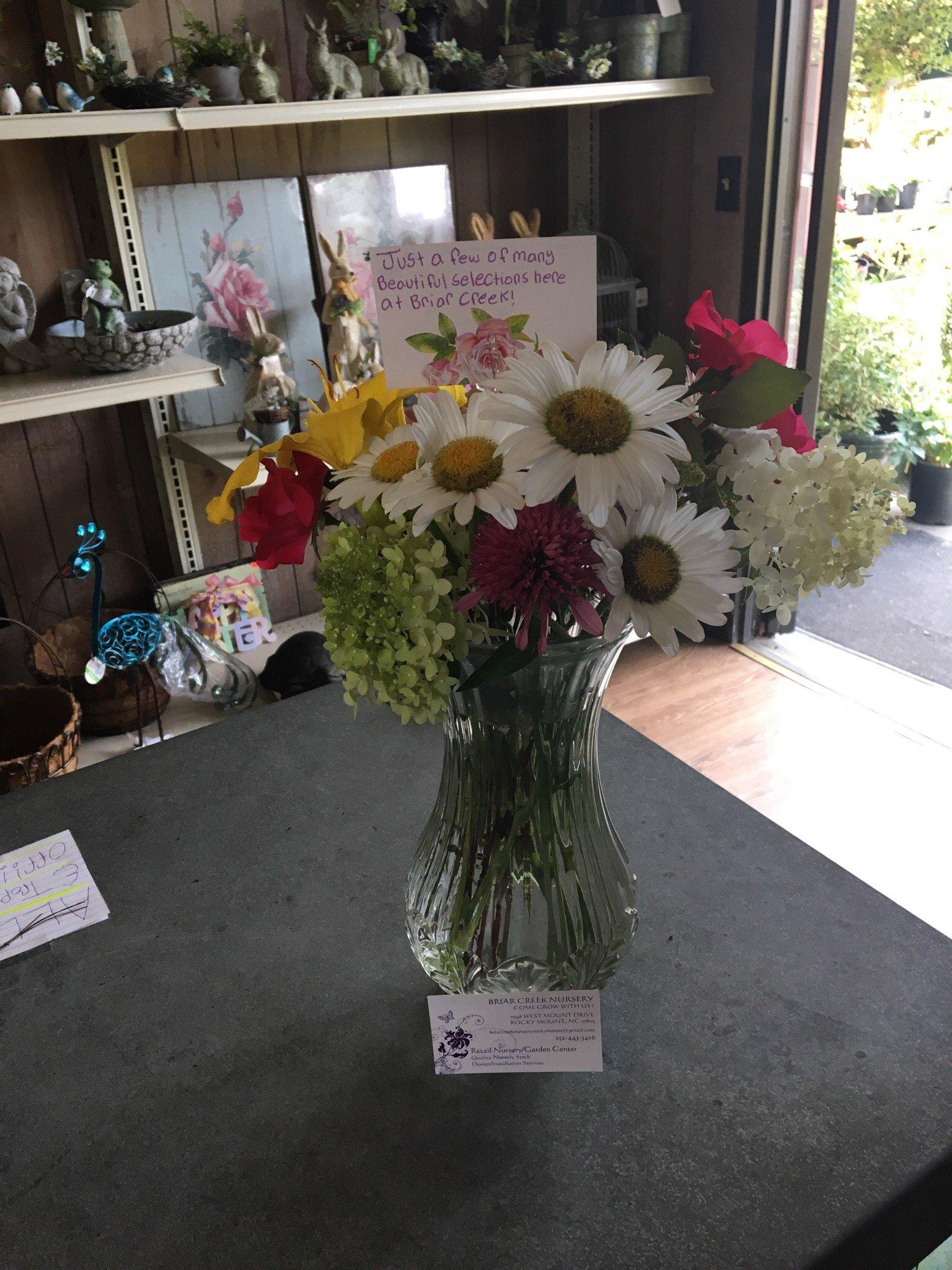 Briar Creek Nursery and Kidz Zone