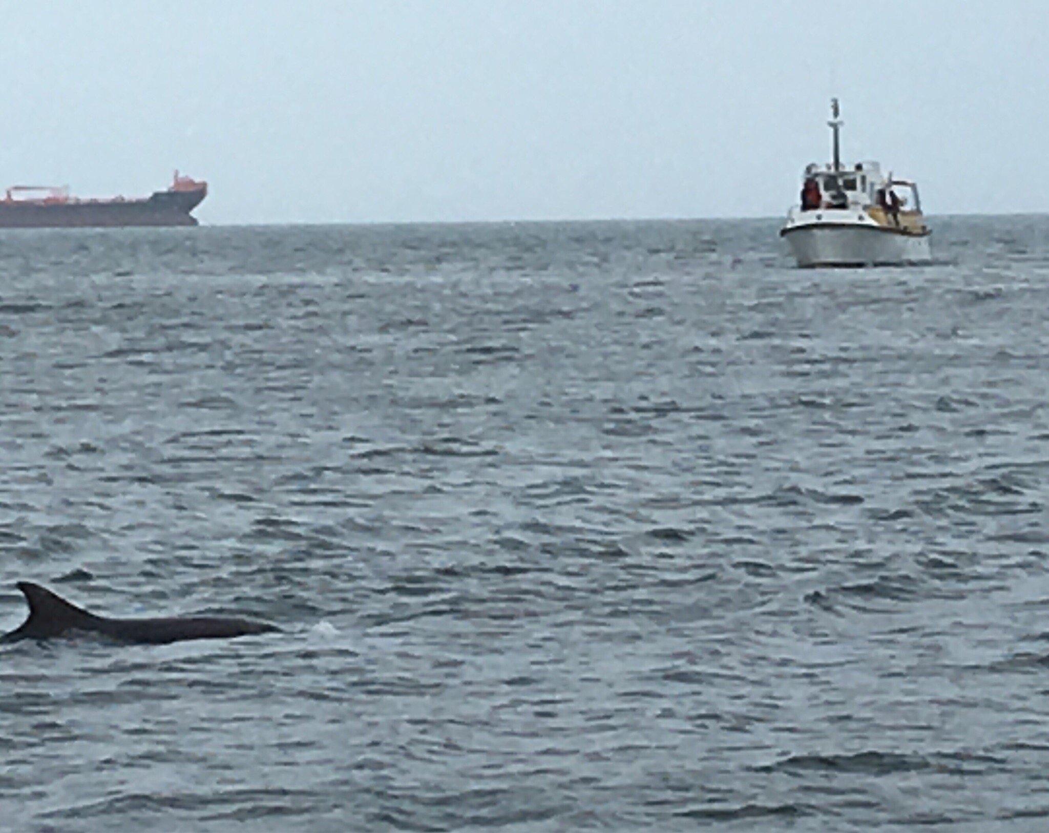 Aberdeen Harbour Tours