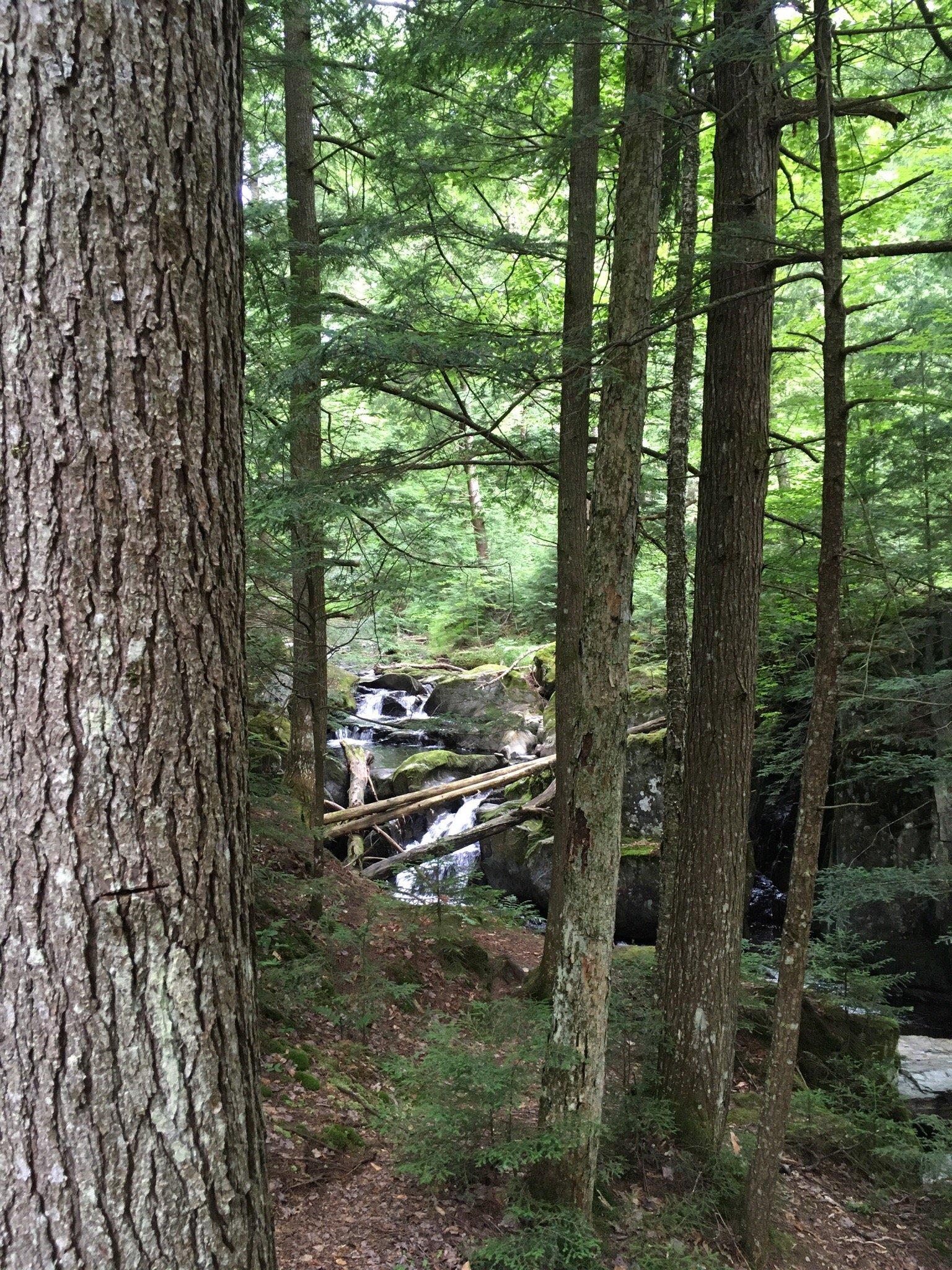 Photo by Beth Brown L