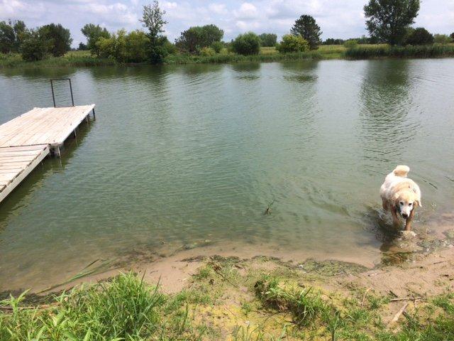 Willow Creek Recreation Area