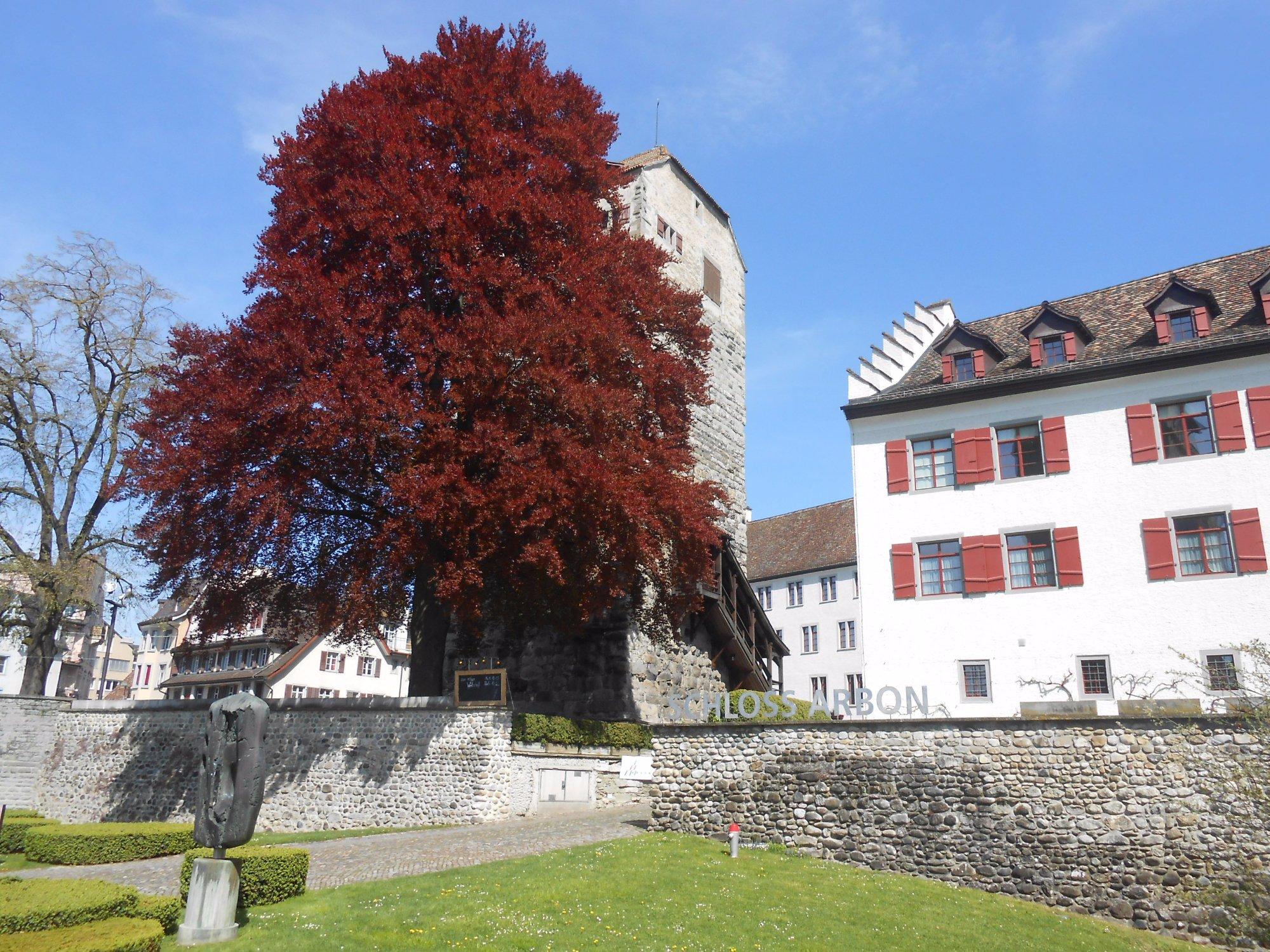 Schloss Arbon