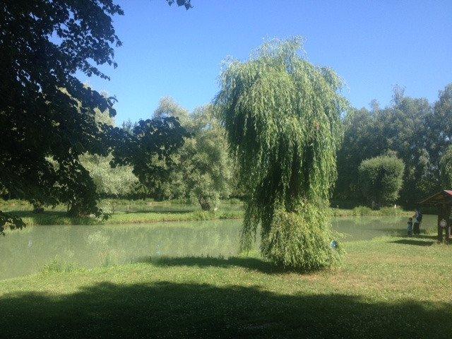 Rheinradweg bei Basel