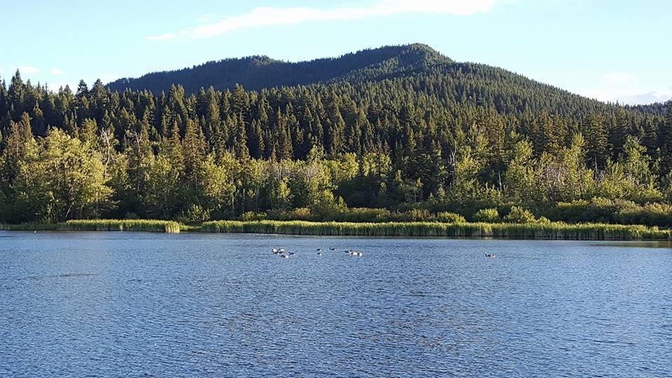 Beauvais Lake Provincial Park
