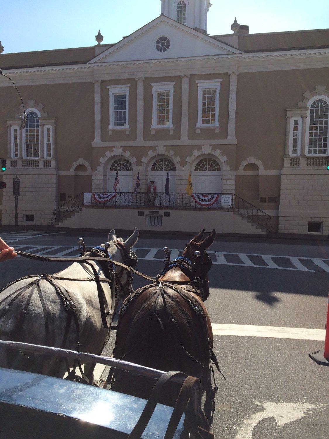 Charleston Adventures