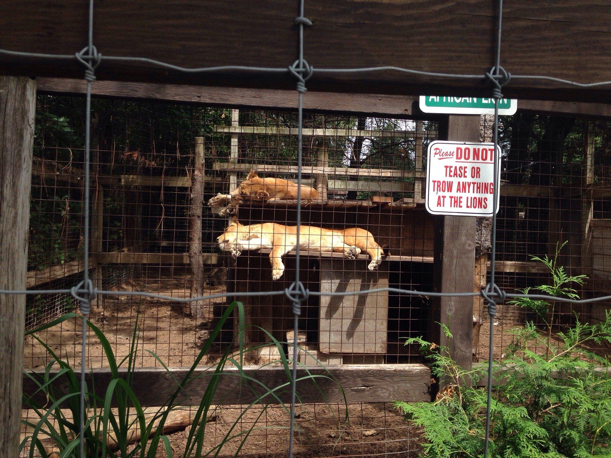 Spruce Haven Zoo
