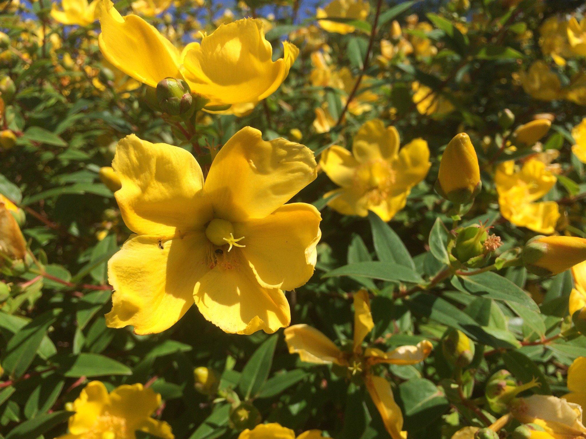 All Saints Church, Hunmanby