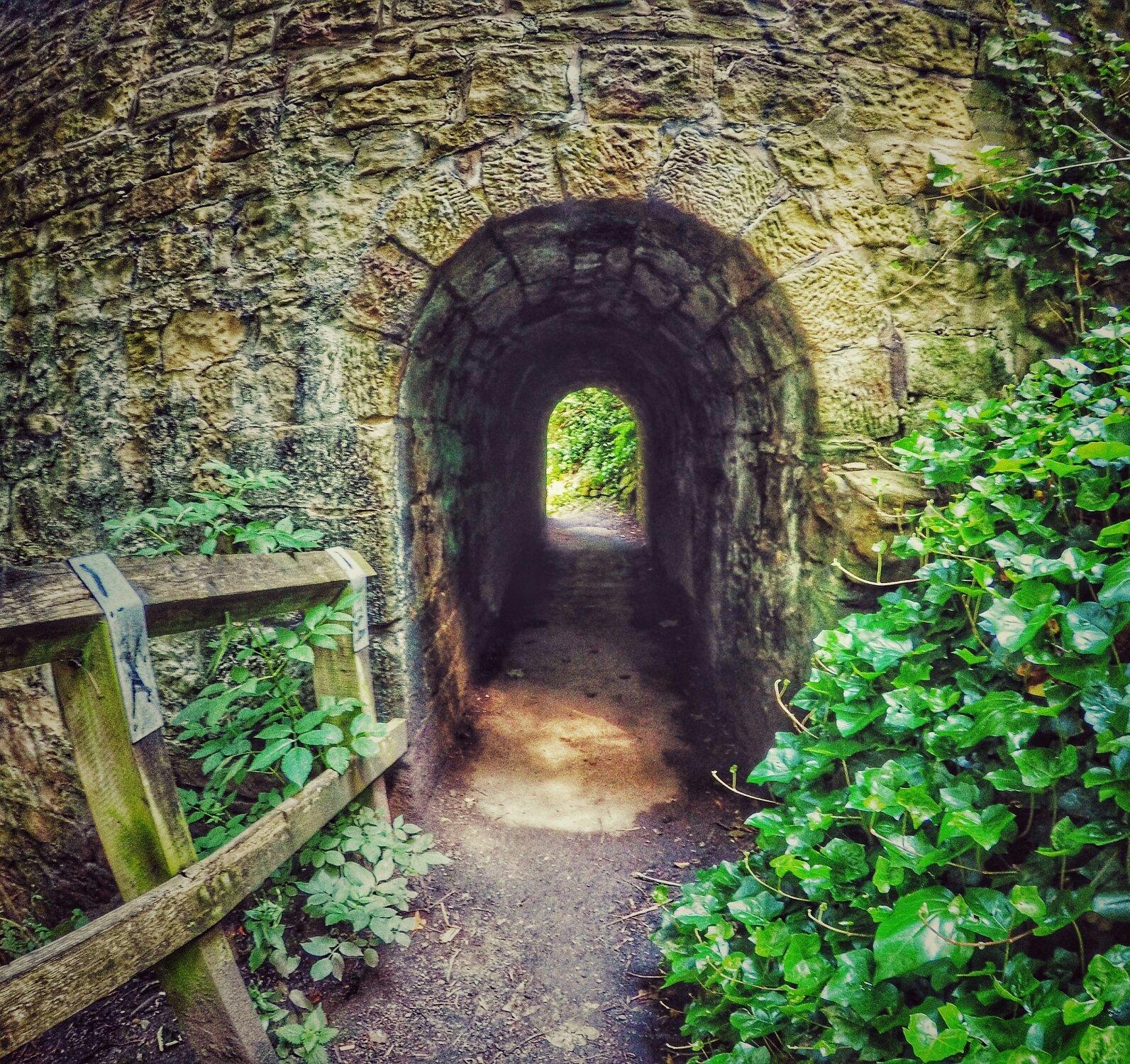 Paddy Freeman's Park