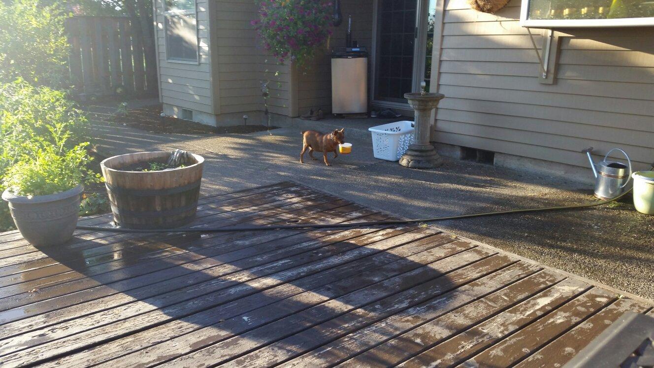 Photo by travelsaavy52024