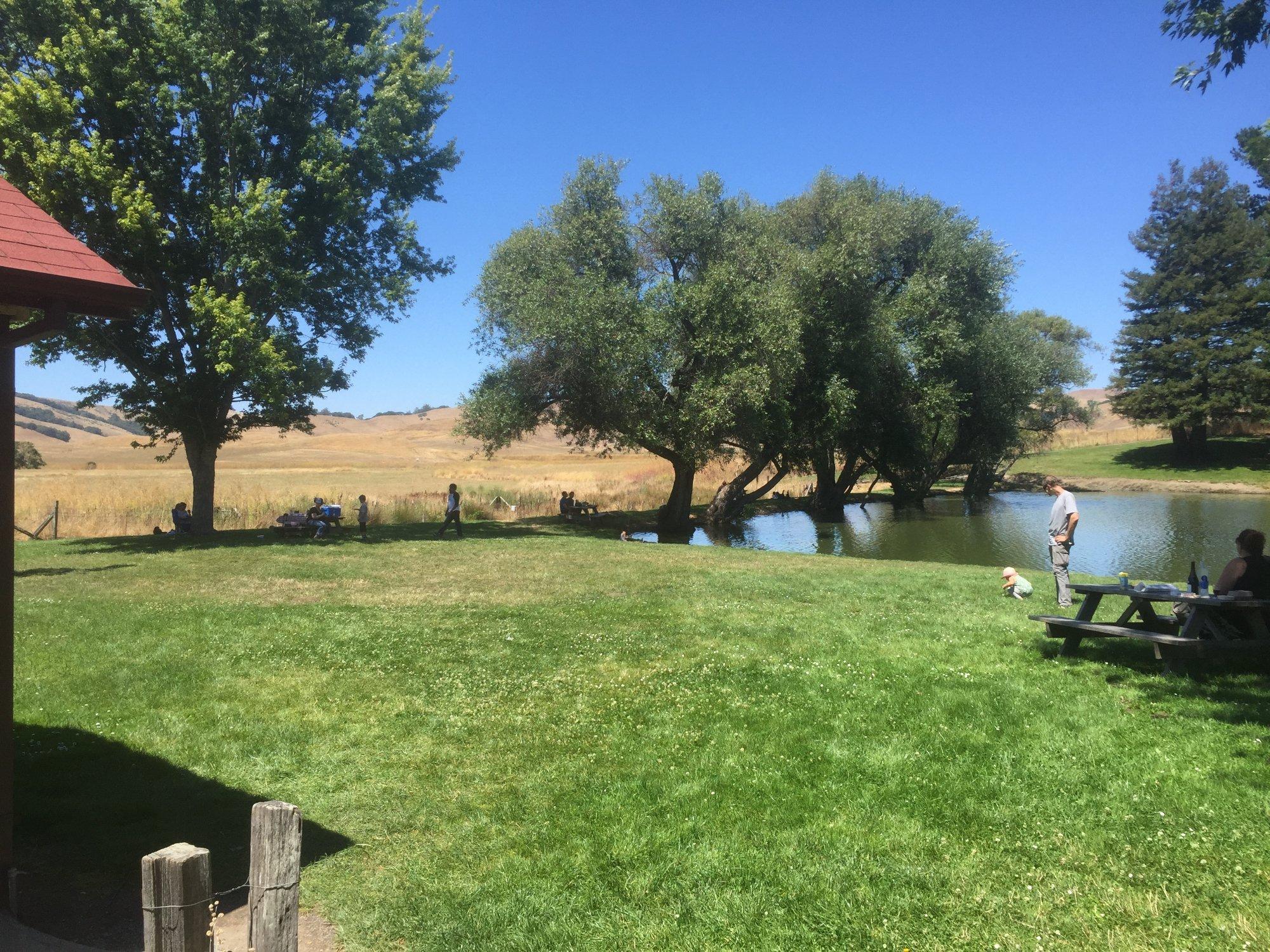 Marin French Cheese Company