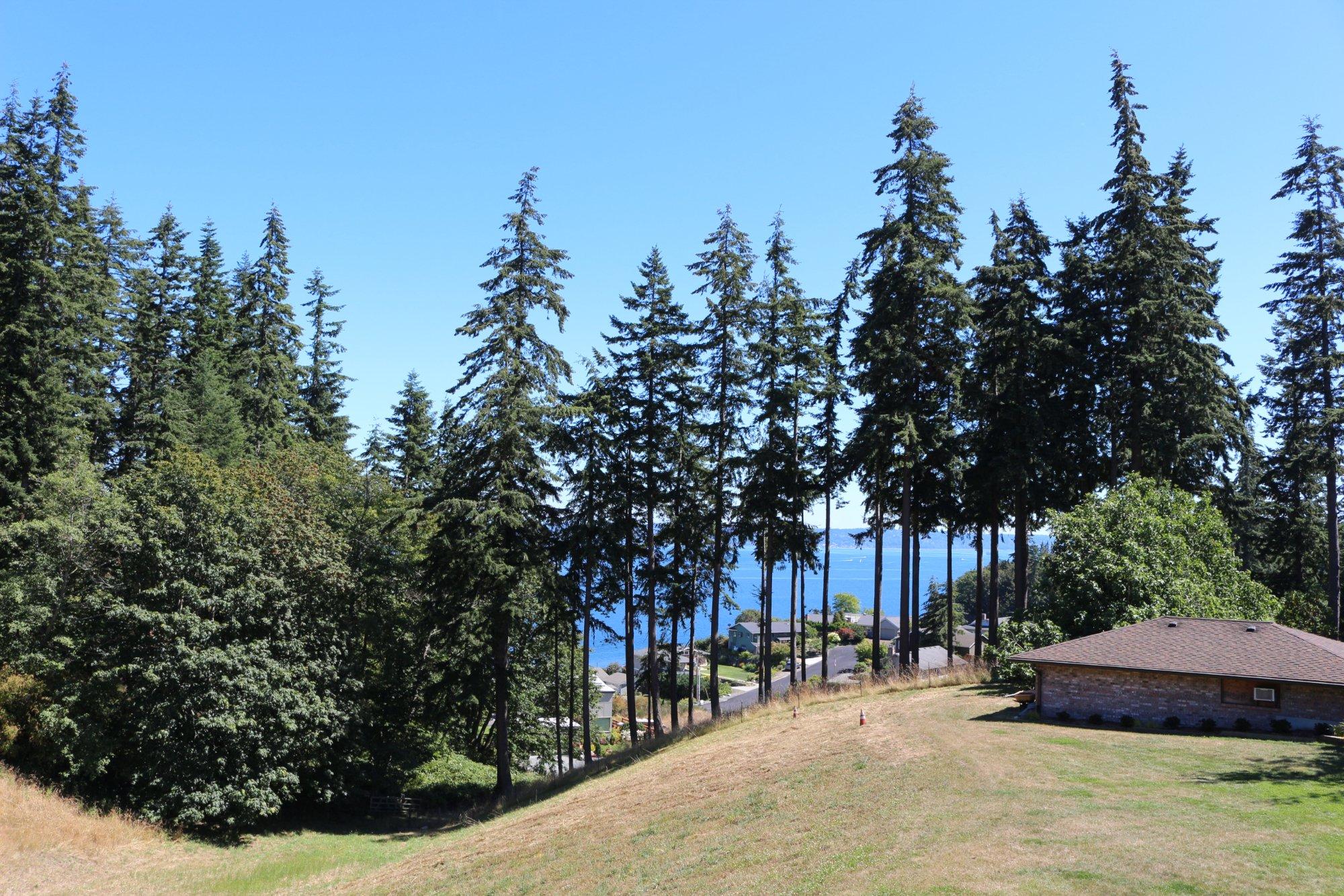 Comforts of Whidbey