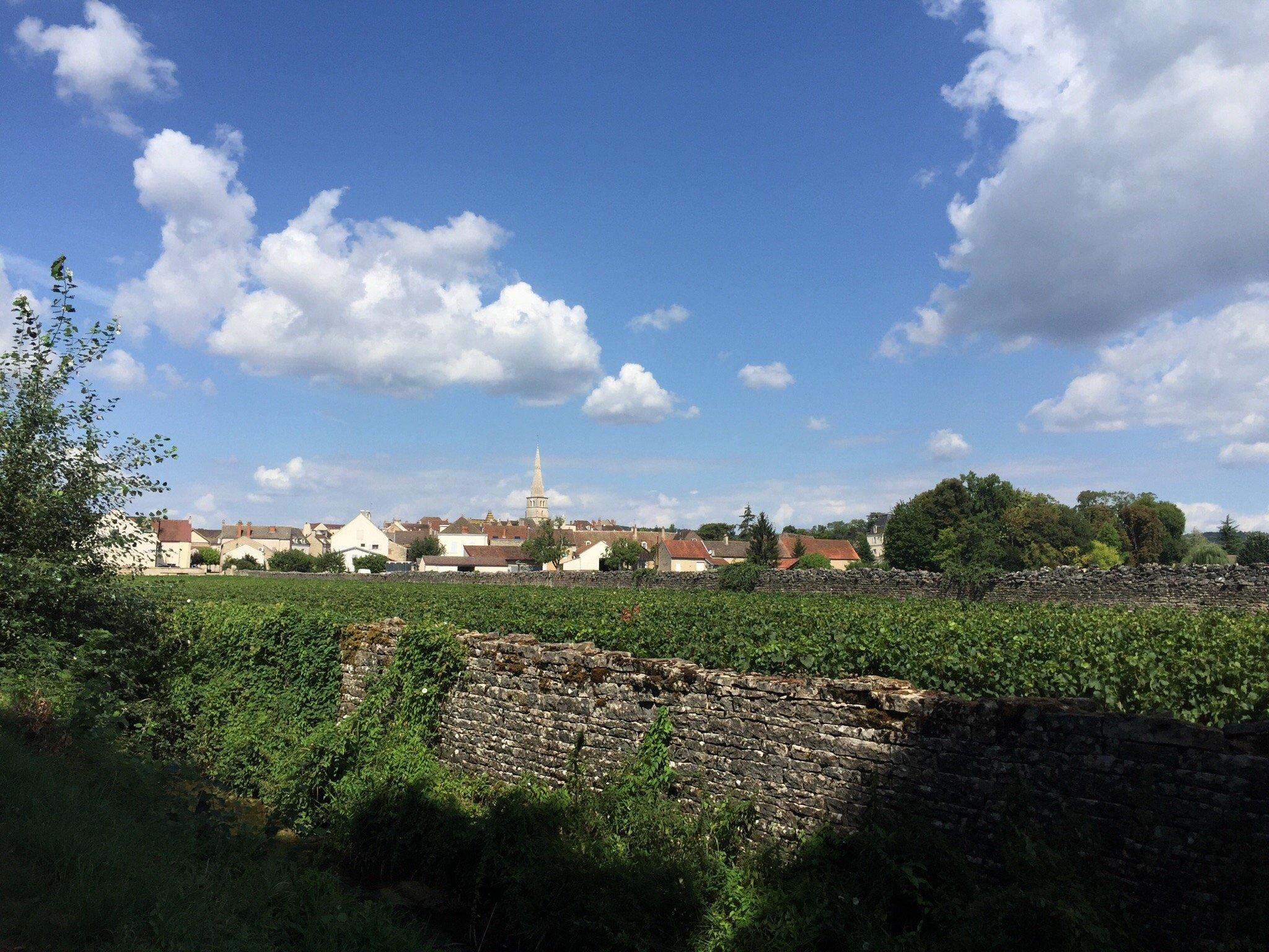 Route des Grands Crus