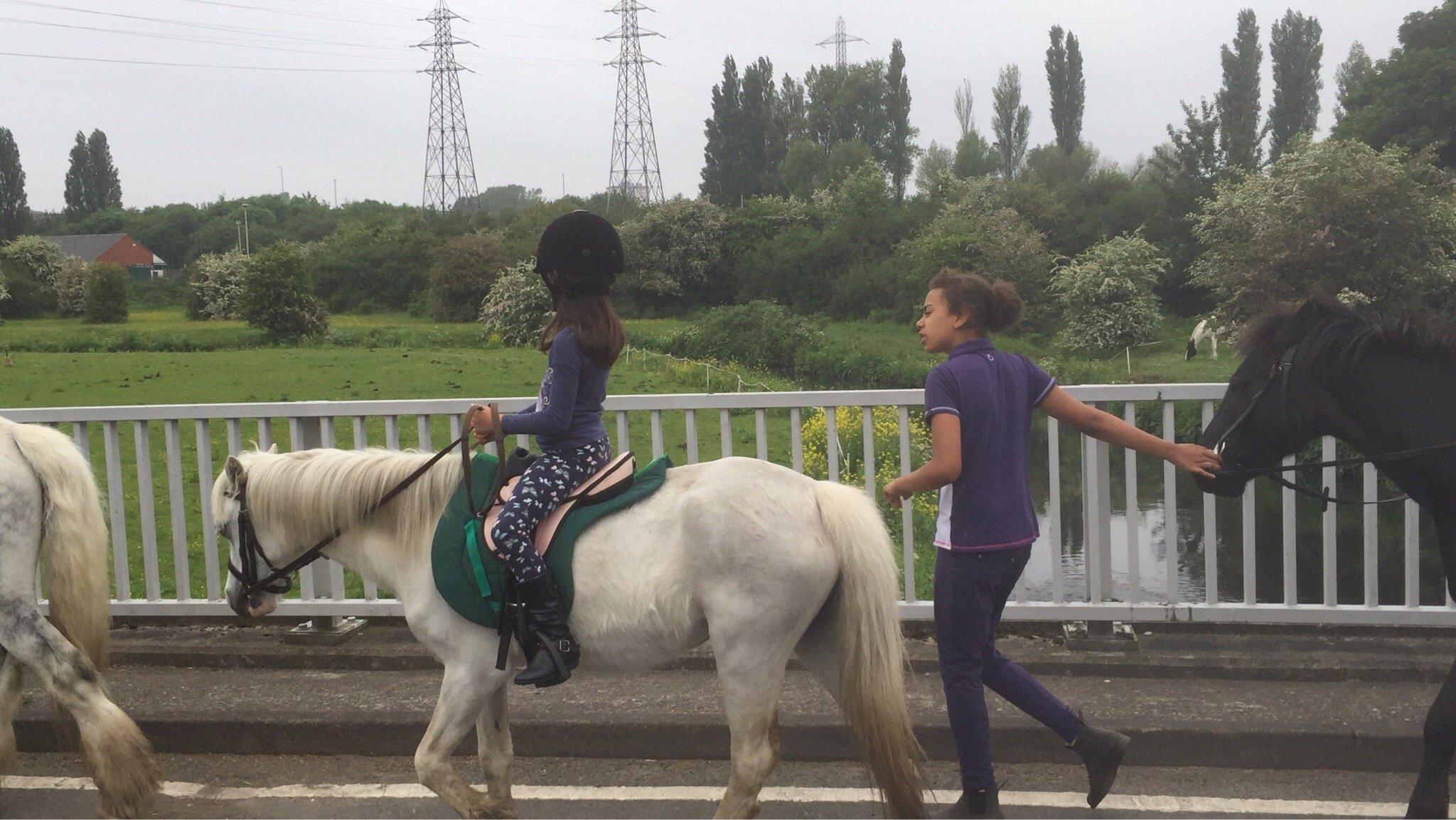 Sandwell Valley Riding Centre