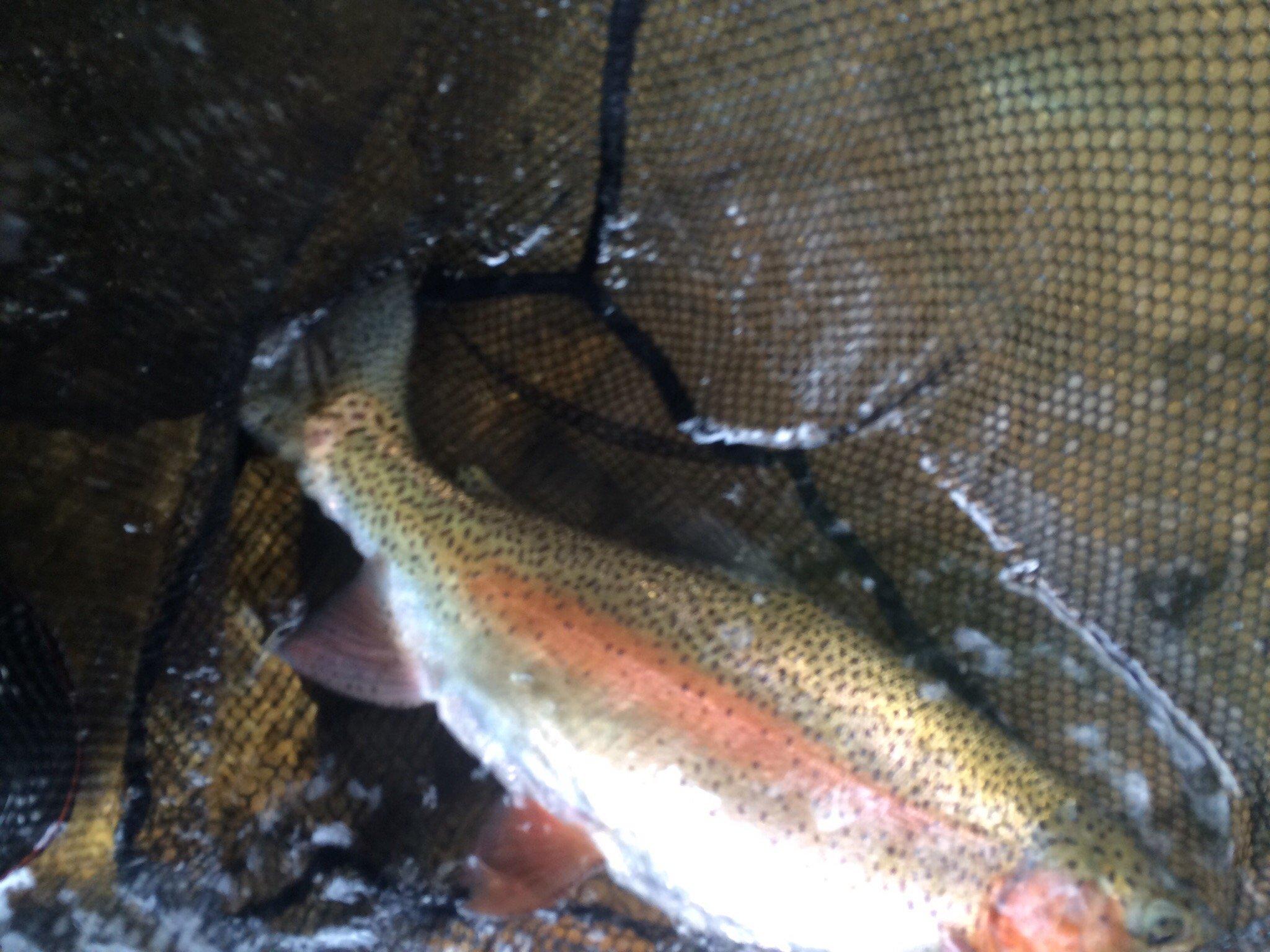 Photo by BlueRidgeKG