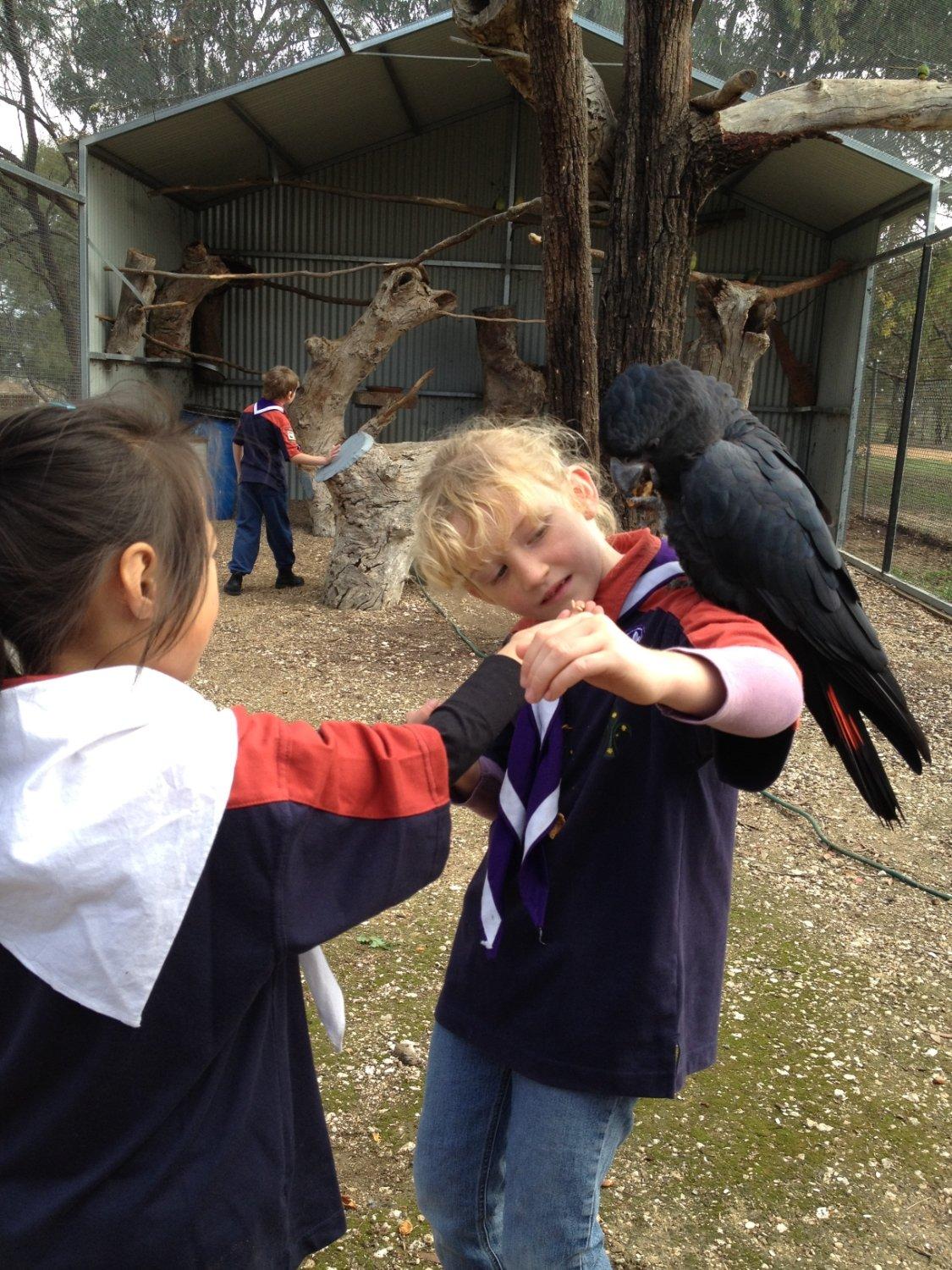 Kaniva Wetlands and Fauna Park