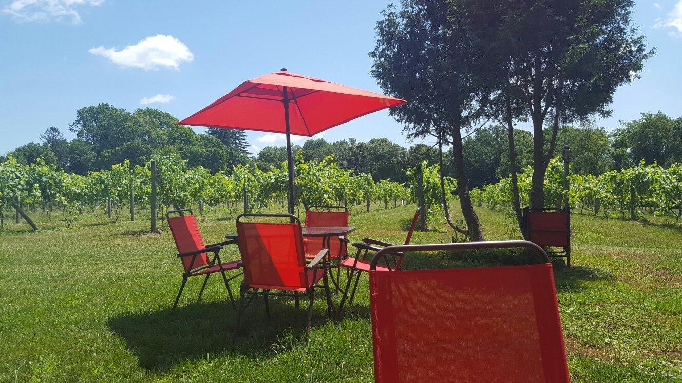 Lebanon Green Vineyards