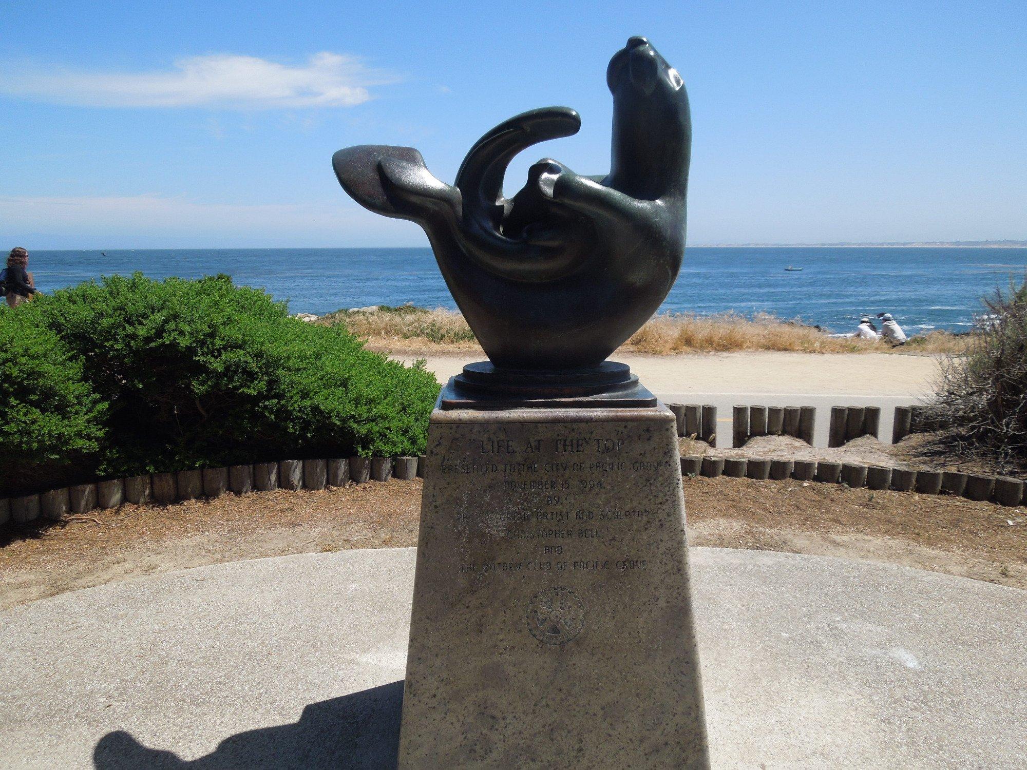 Photo by on_the_go_98765