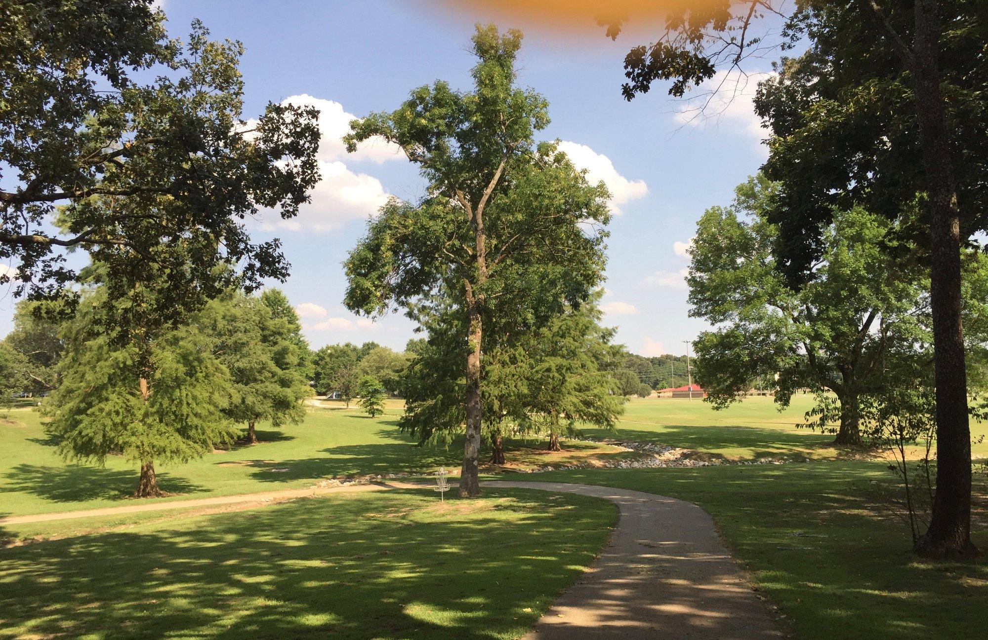 Photo by harrydapoet