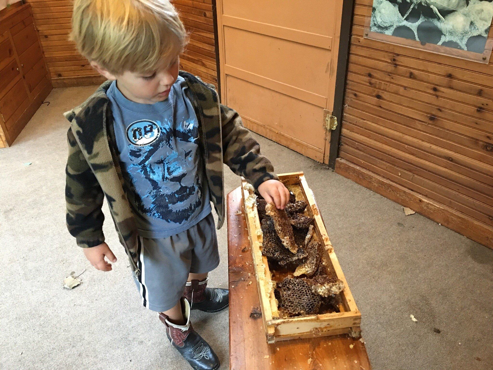 Photo by islandinthemist