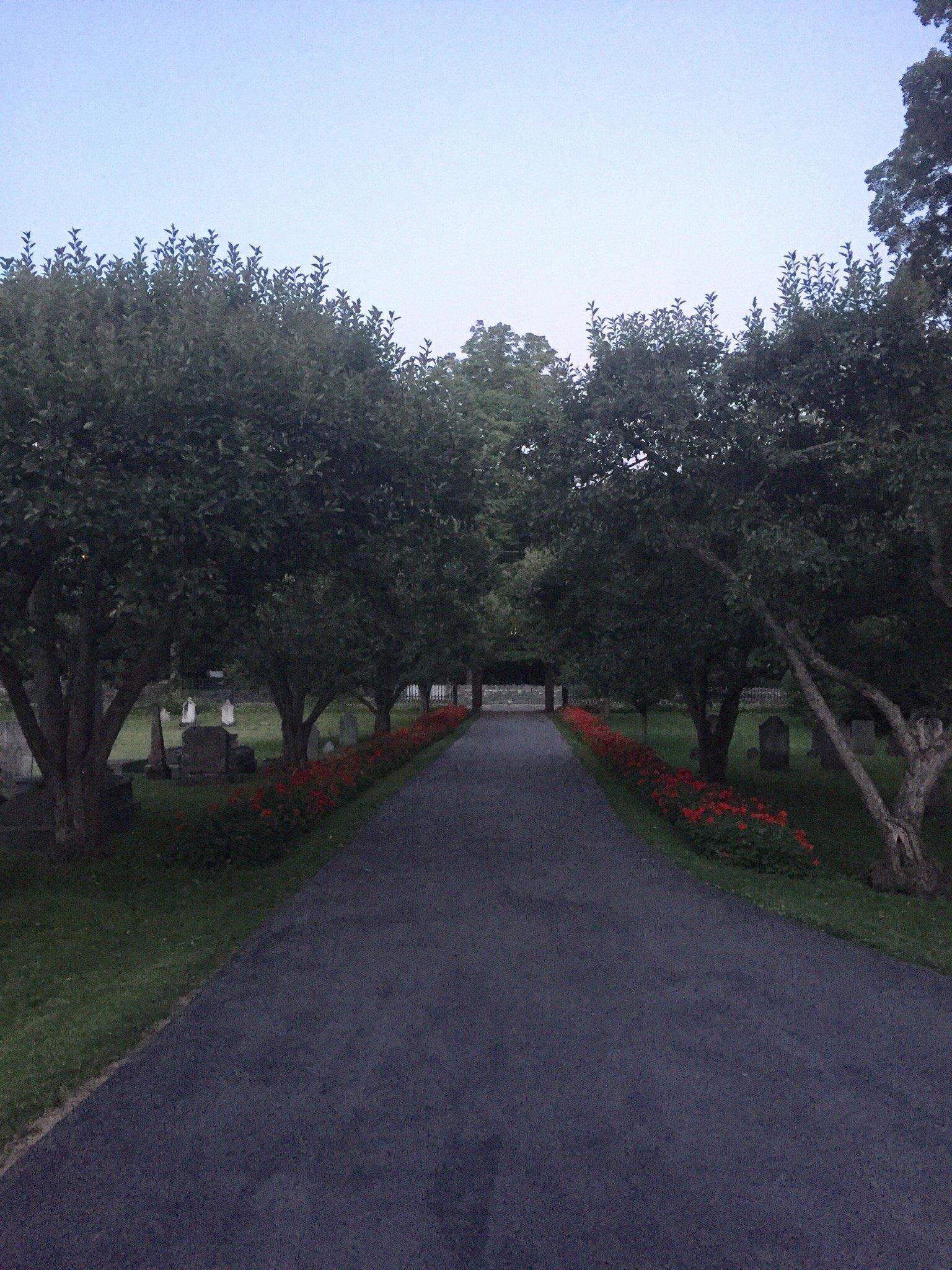 Photo by juliasL9635MK