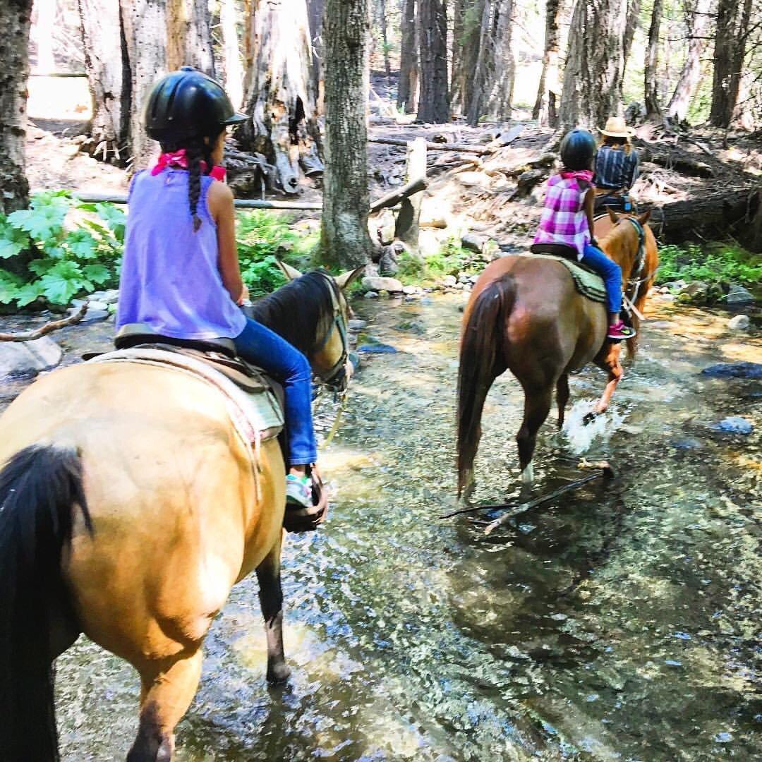 Yosemite Trails Horseback Adventures