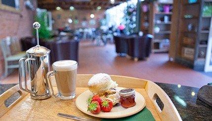 The Blushes at Moreton Park Garden Centre