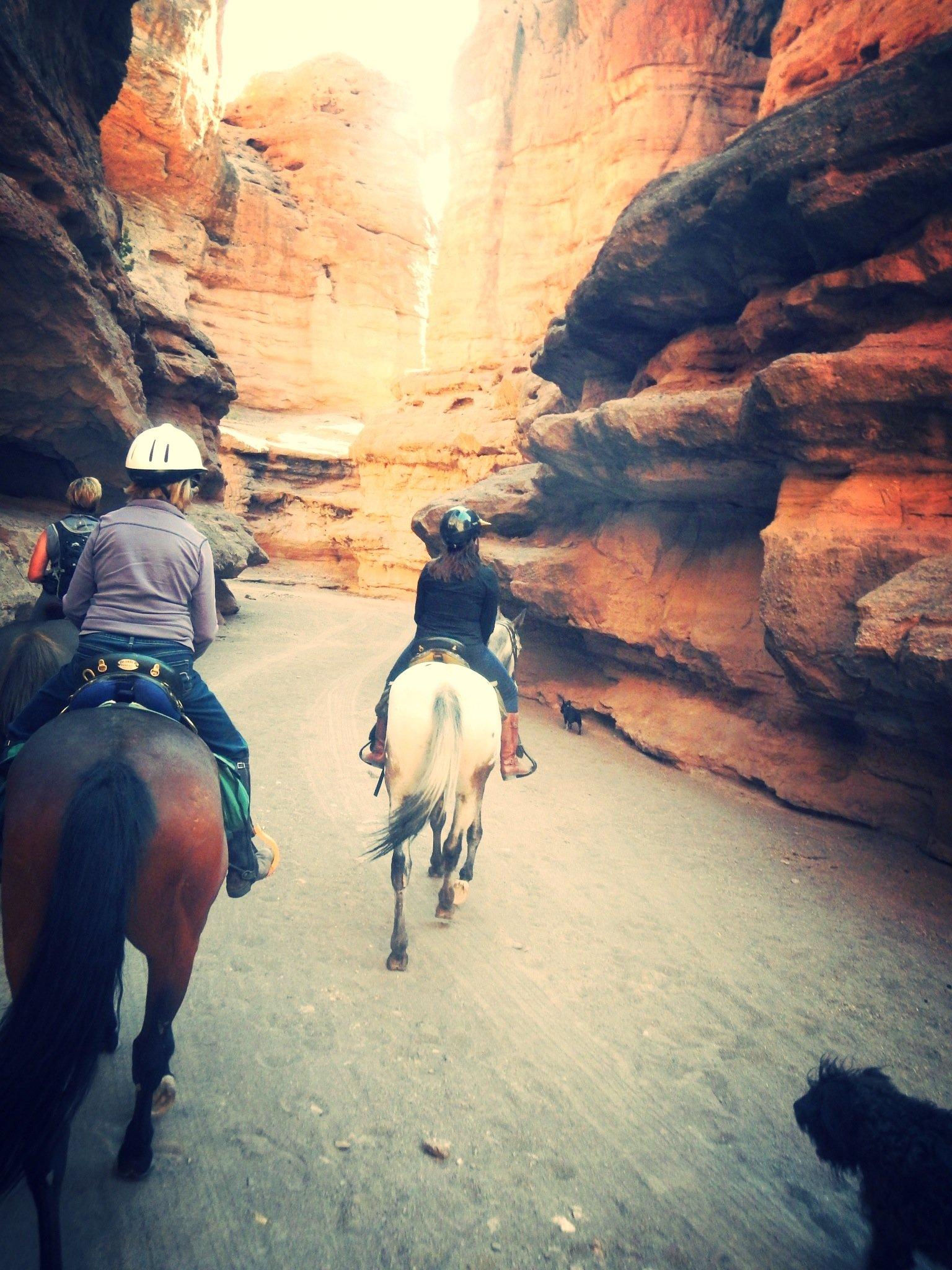 Enchantment Equitreks