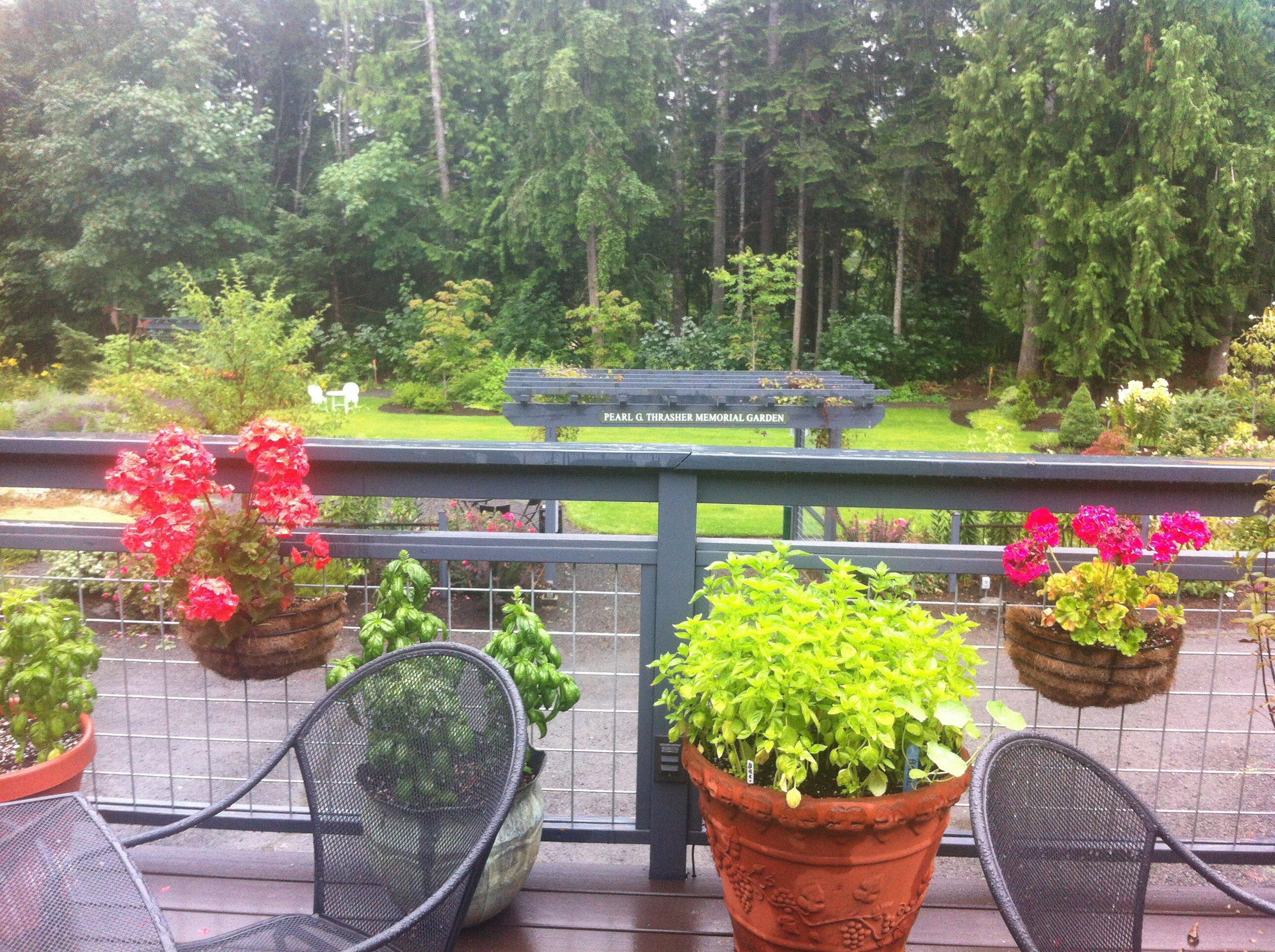 Photo by DoloresJacoby