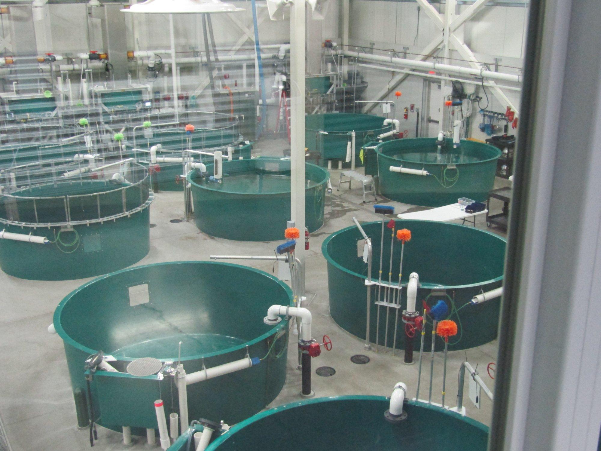 Photo by klademancares