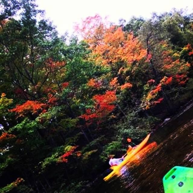 Buckley's Mountainside Canoes