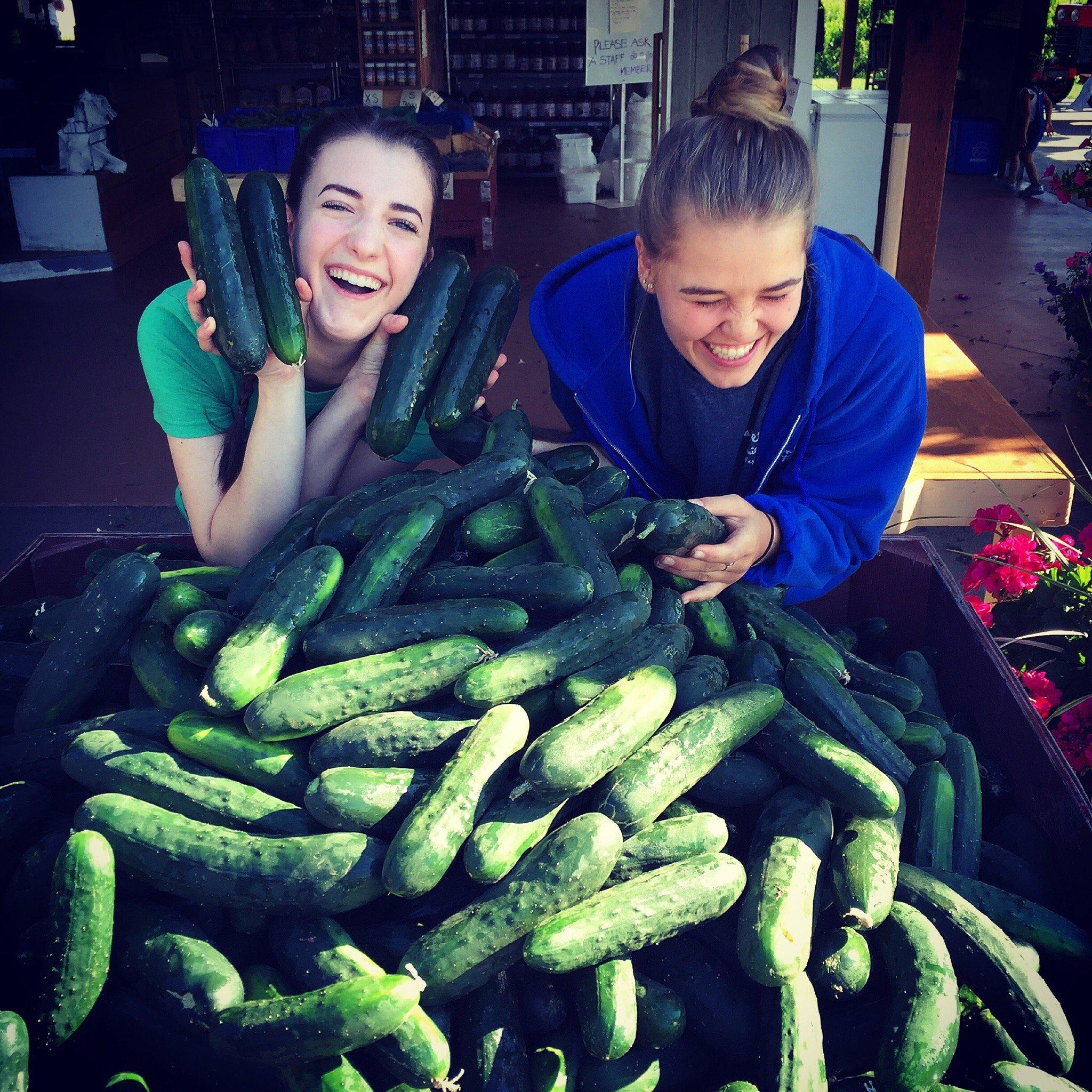 Paynter's Fruit Market