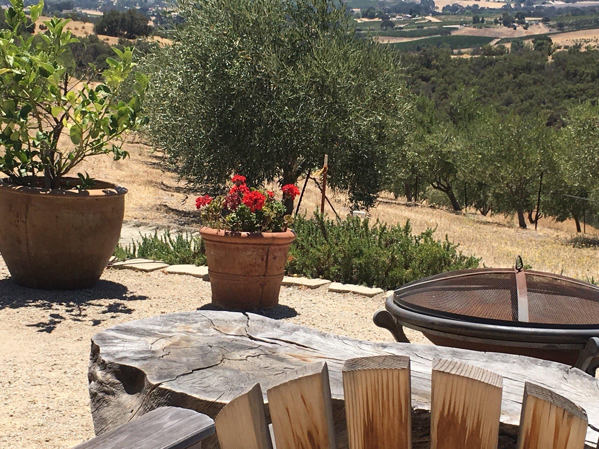 Kiler Ridge Olive Farm