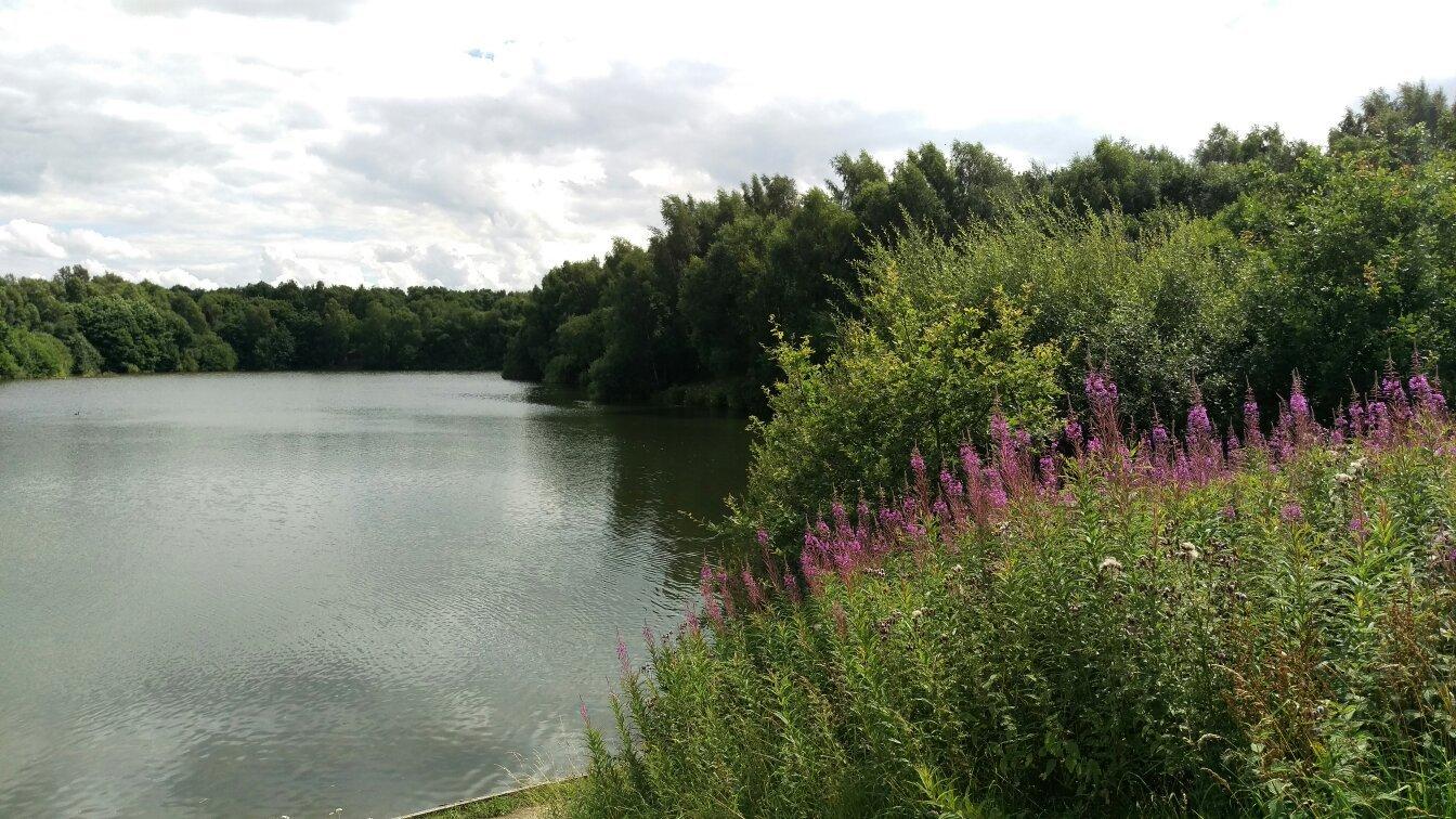 Brereton Heath Local Nature Reserve