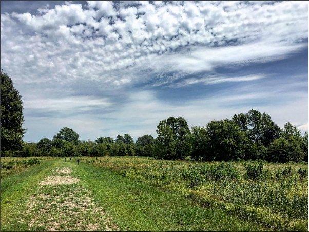 Honey Springs Battlefield