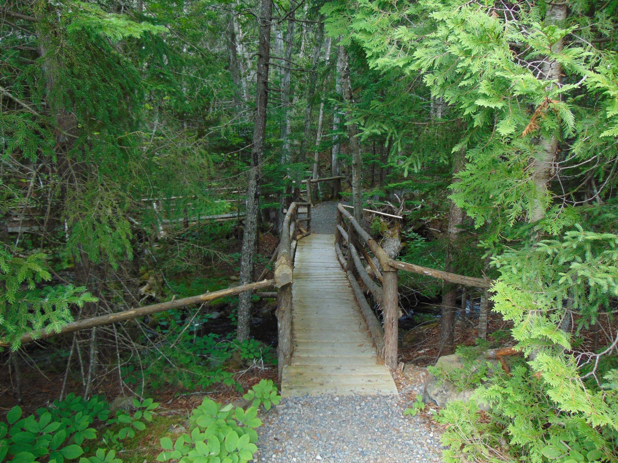 Wild Salmon Nature Centre