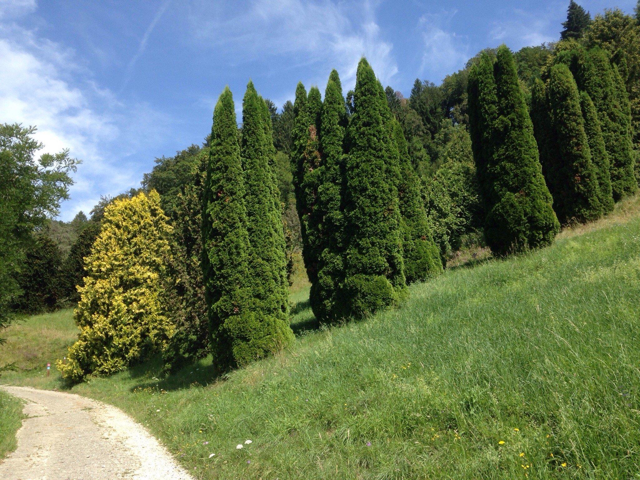 l'Arboretum du Vallon de l'Aubonne