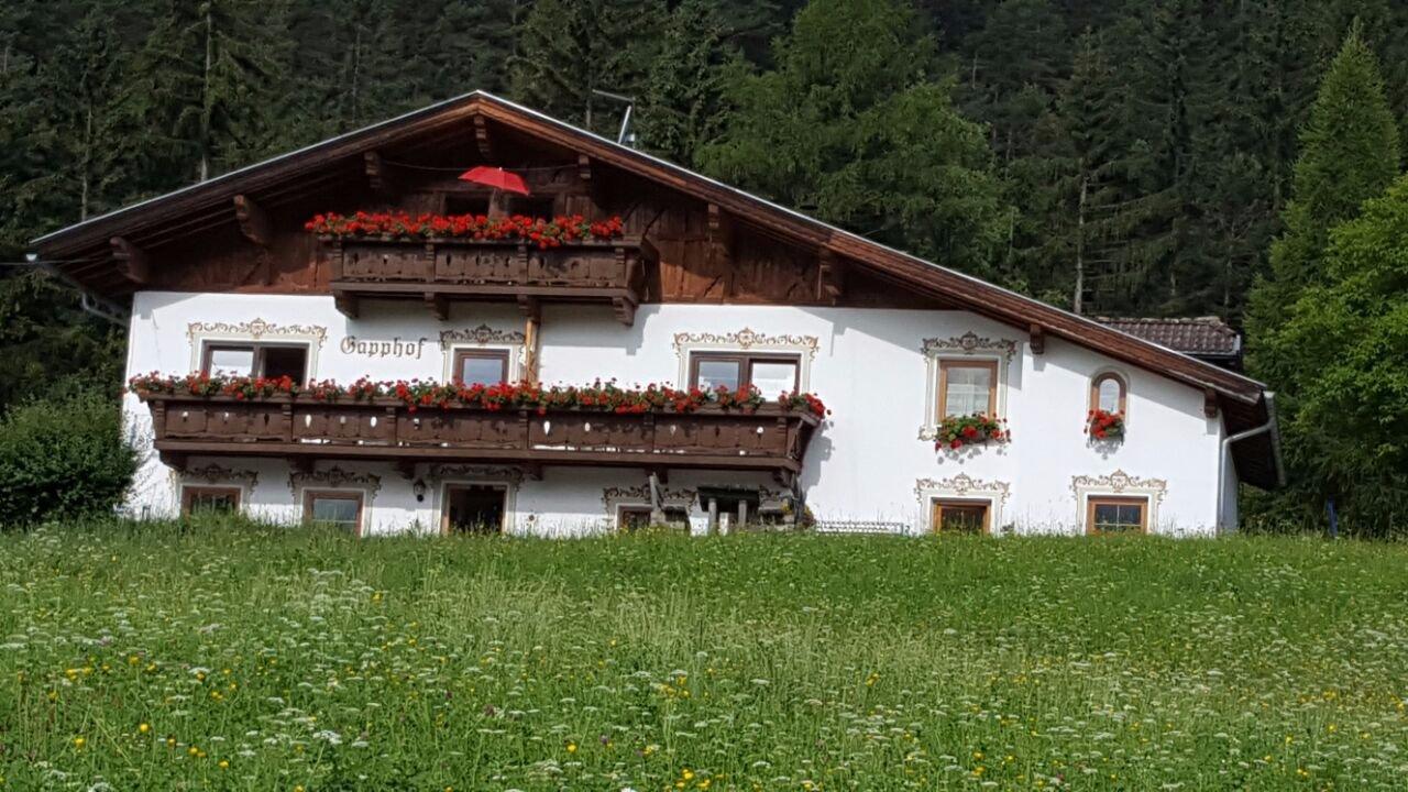 Gesundheitsbauernhof Gapphof