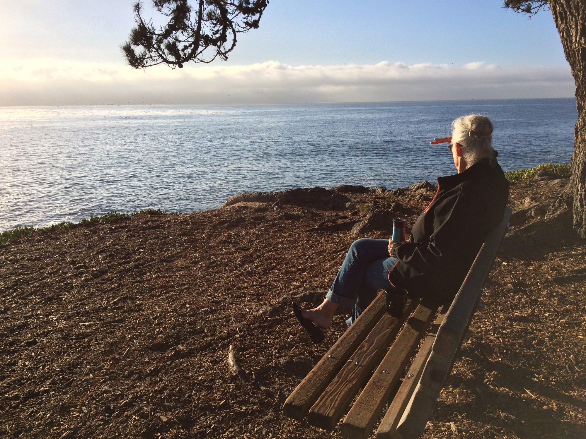 Mitchell's Cove Beach