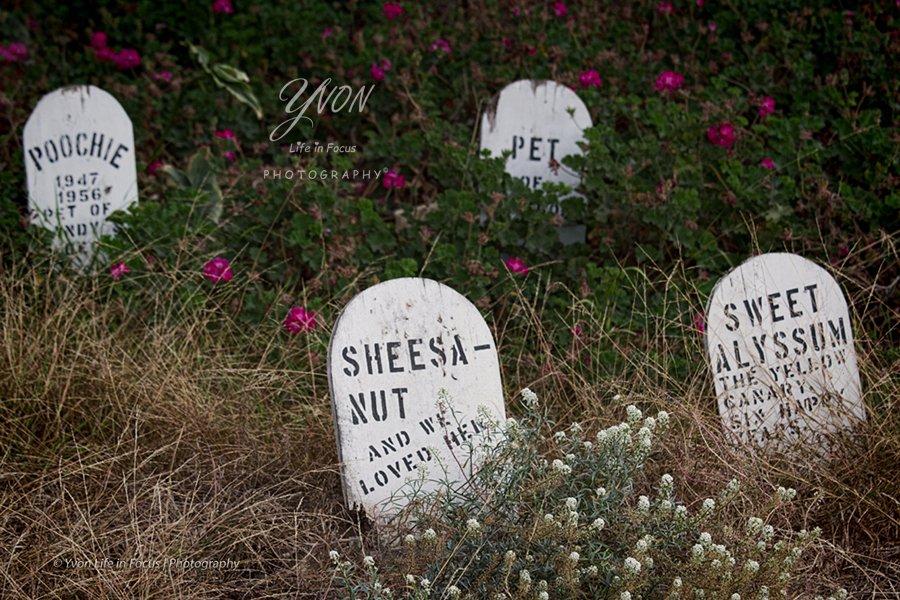 Presidio Pet Cemetery