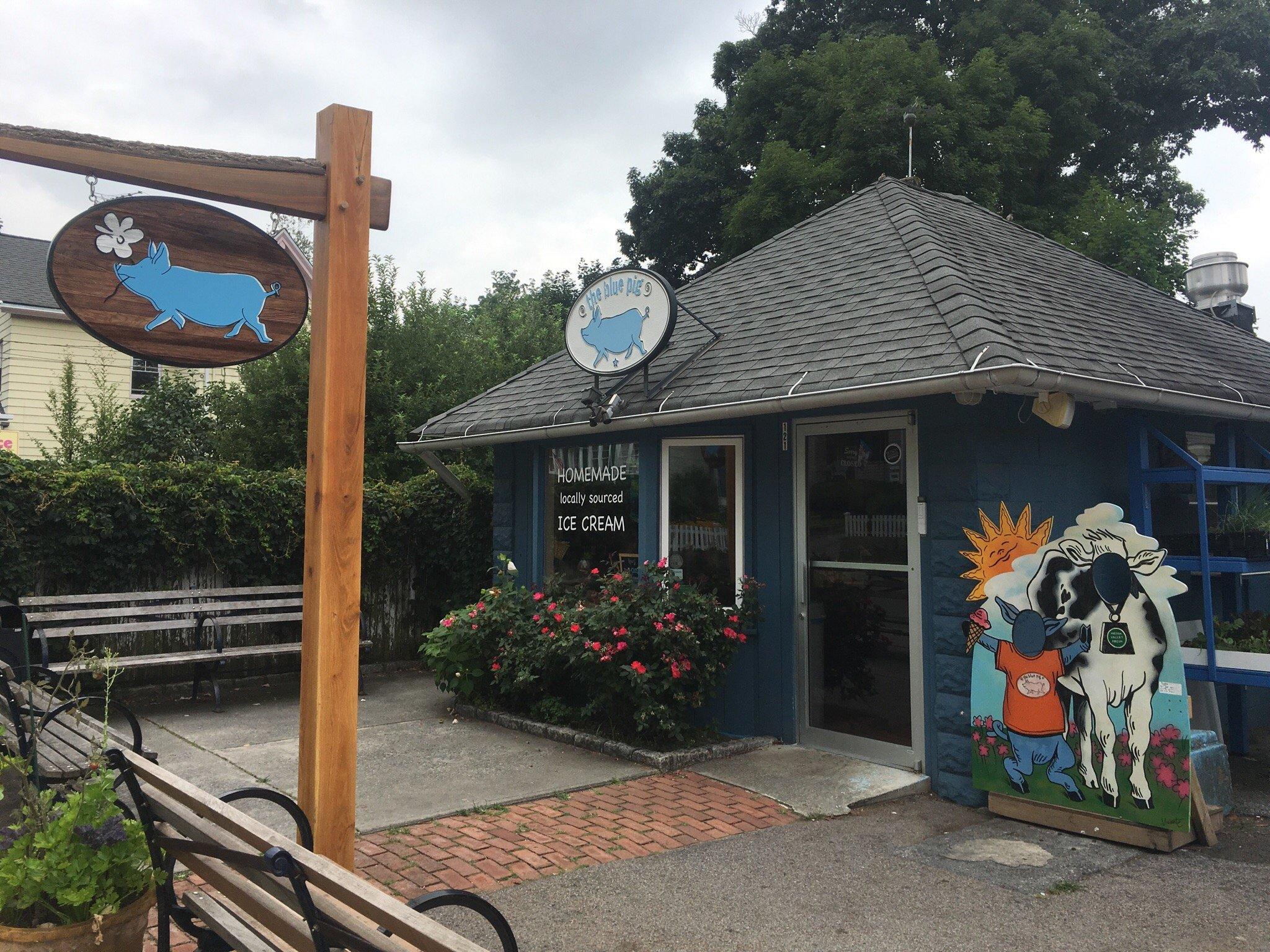 The Blue Pig