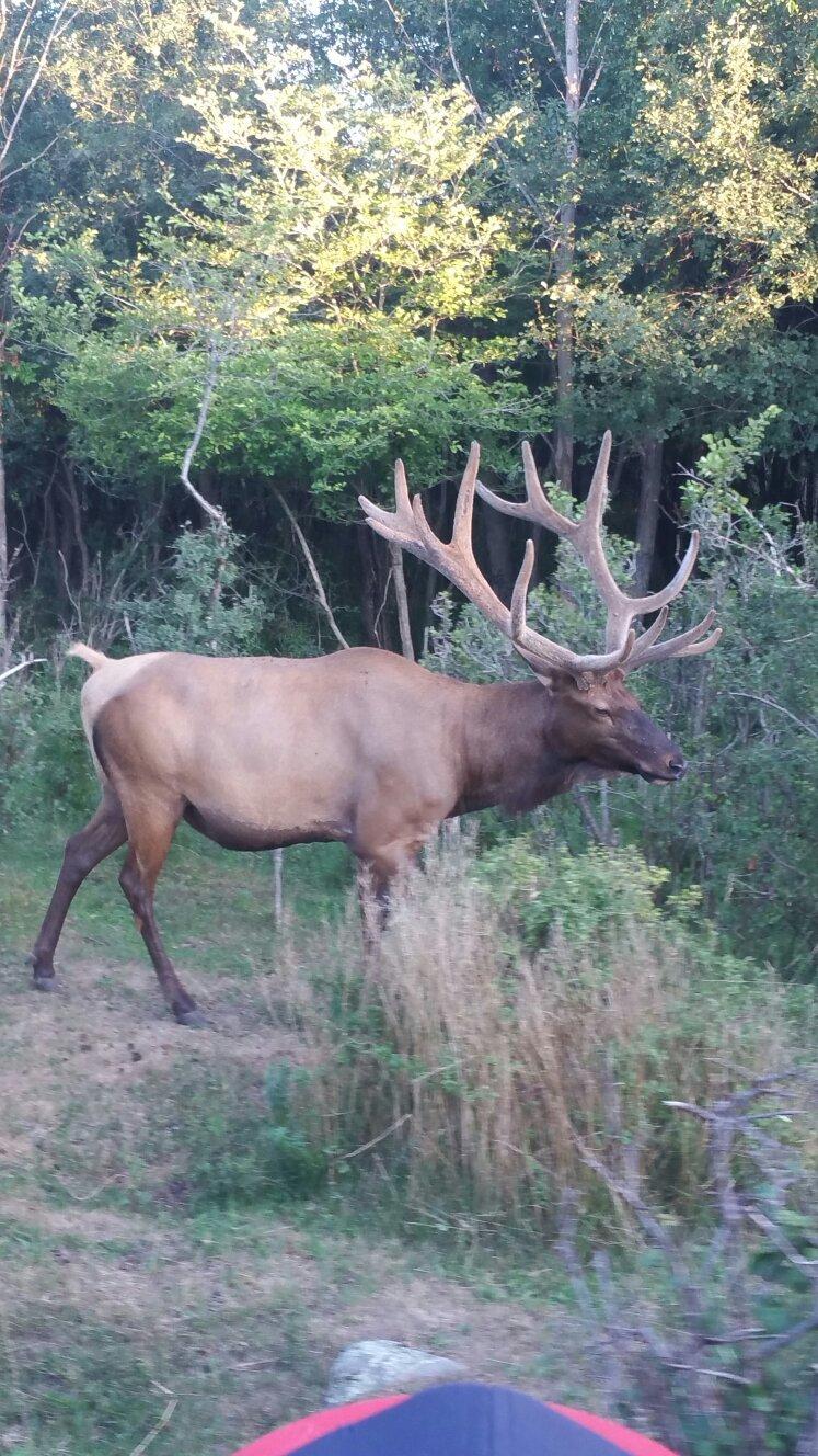 Auburn Riverside Retreat