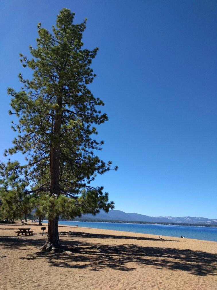 Photo by rjfoxaustin