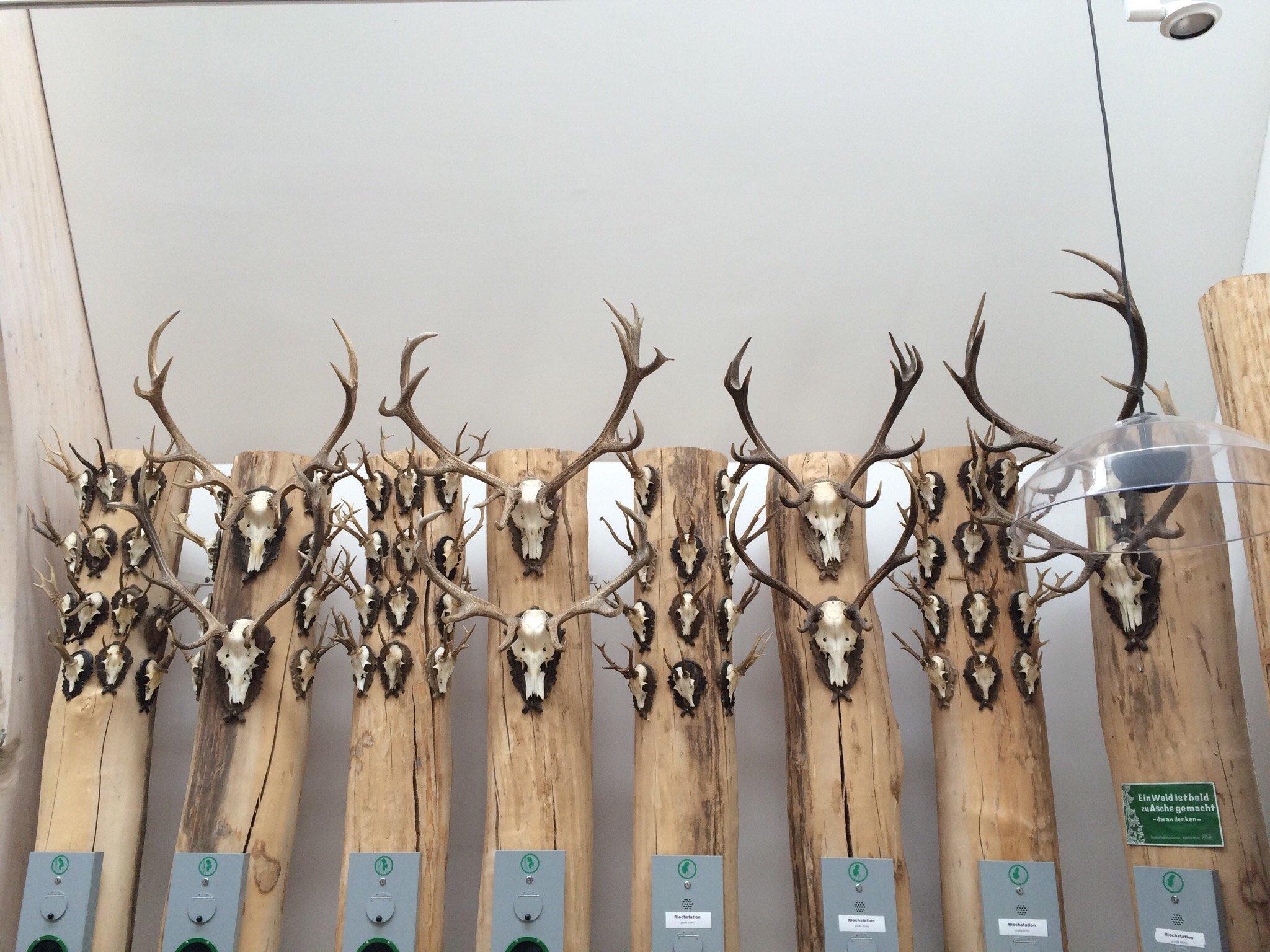 Wildpark Waldhaus Mehlmeisel