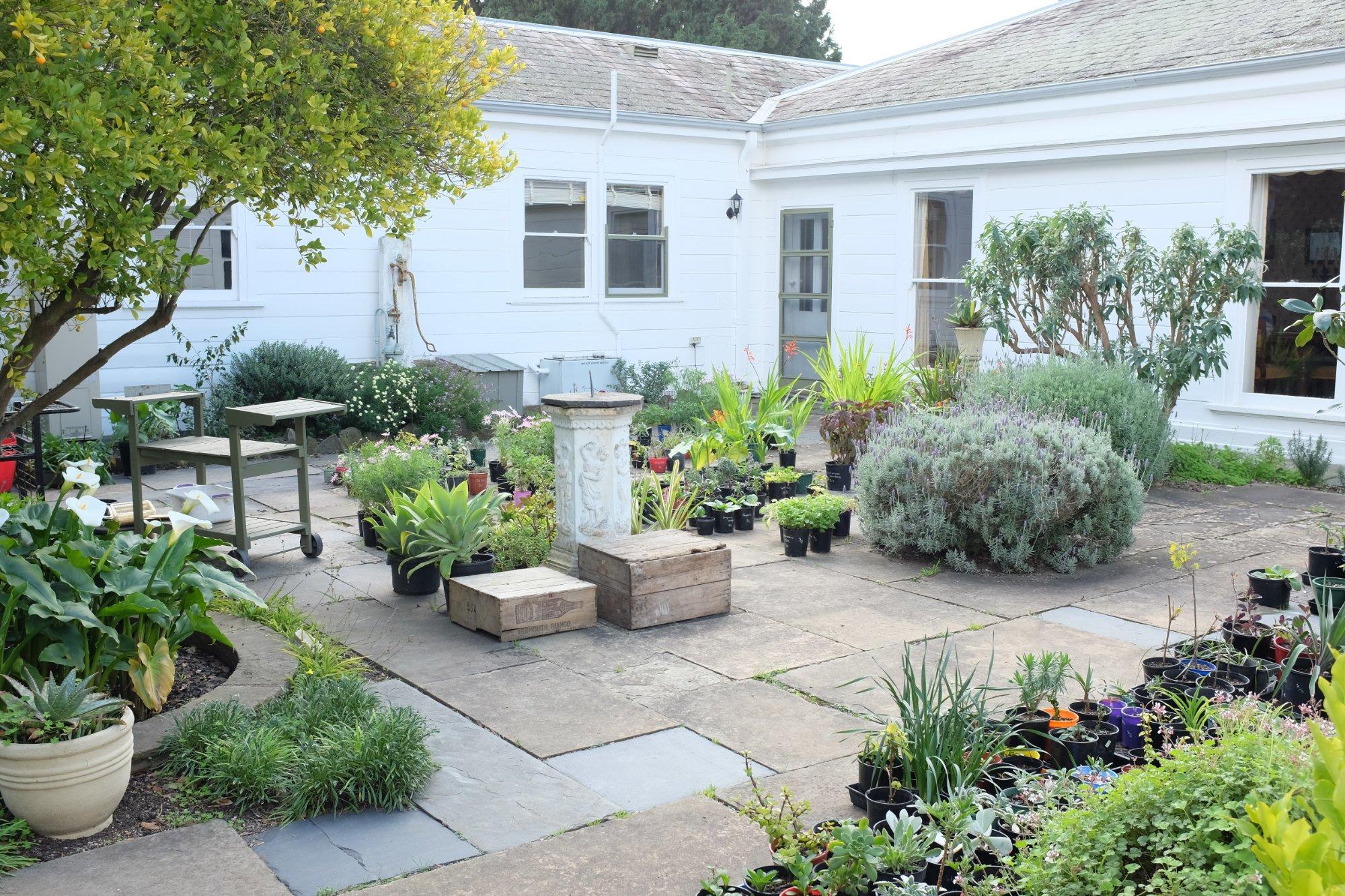 Photo by Catherine B