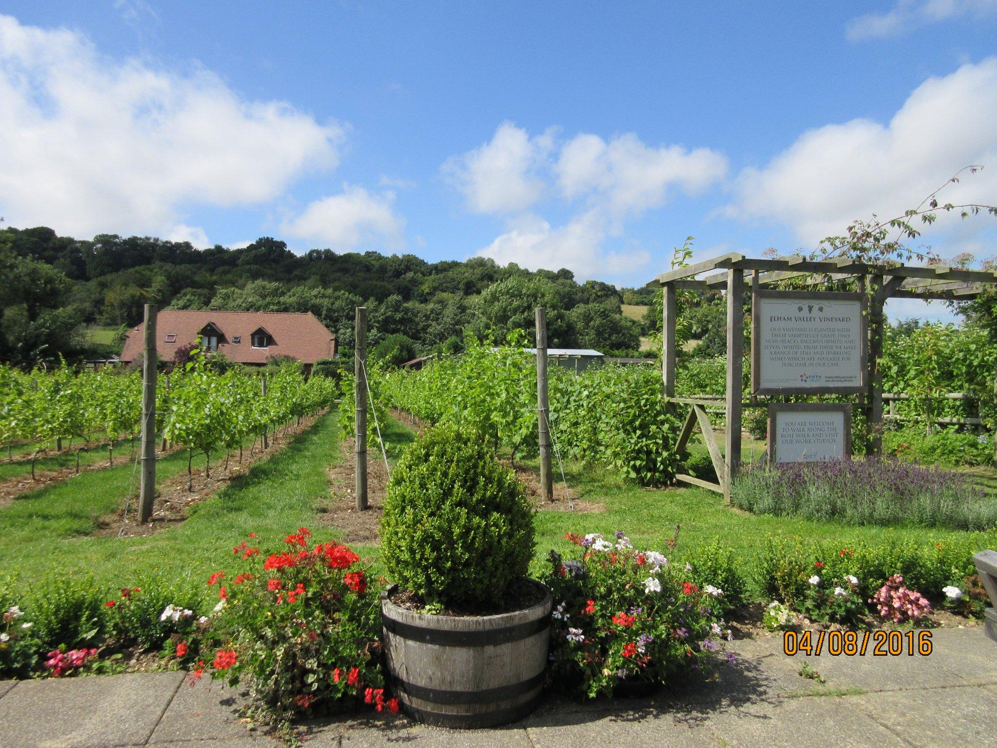 The Vineyard Garden Centre and Cafe
