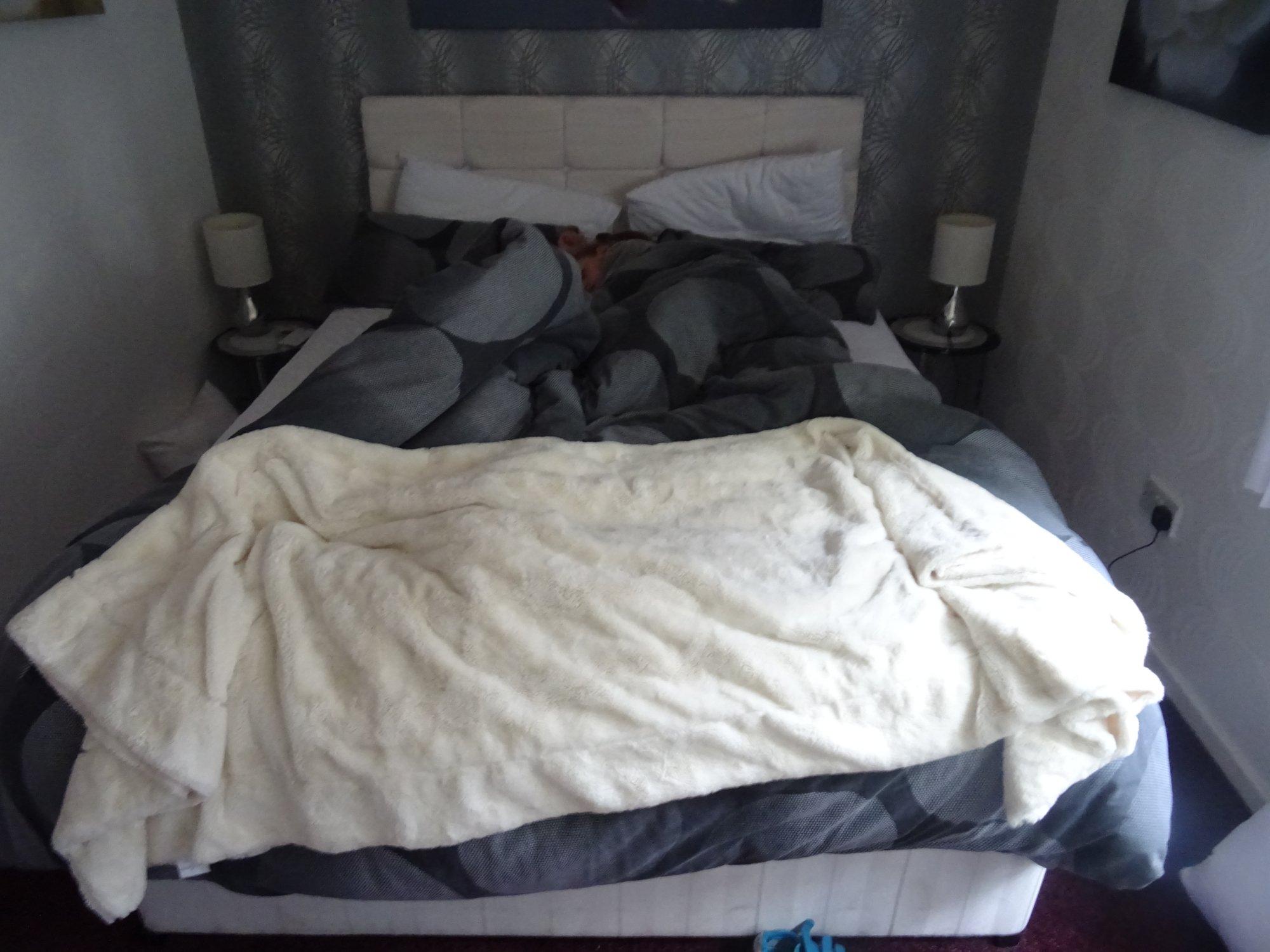 Old Forestry Cottage