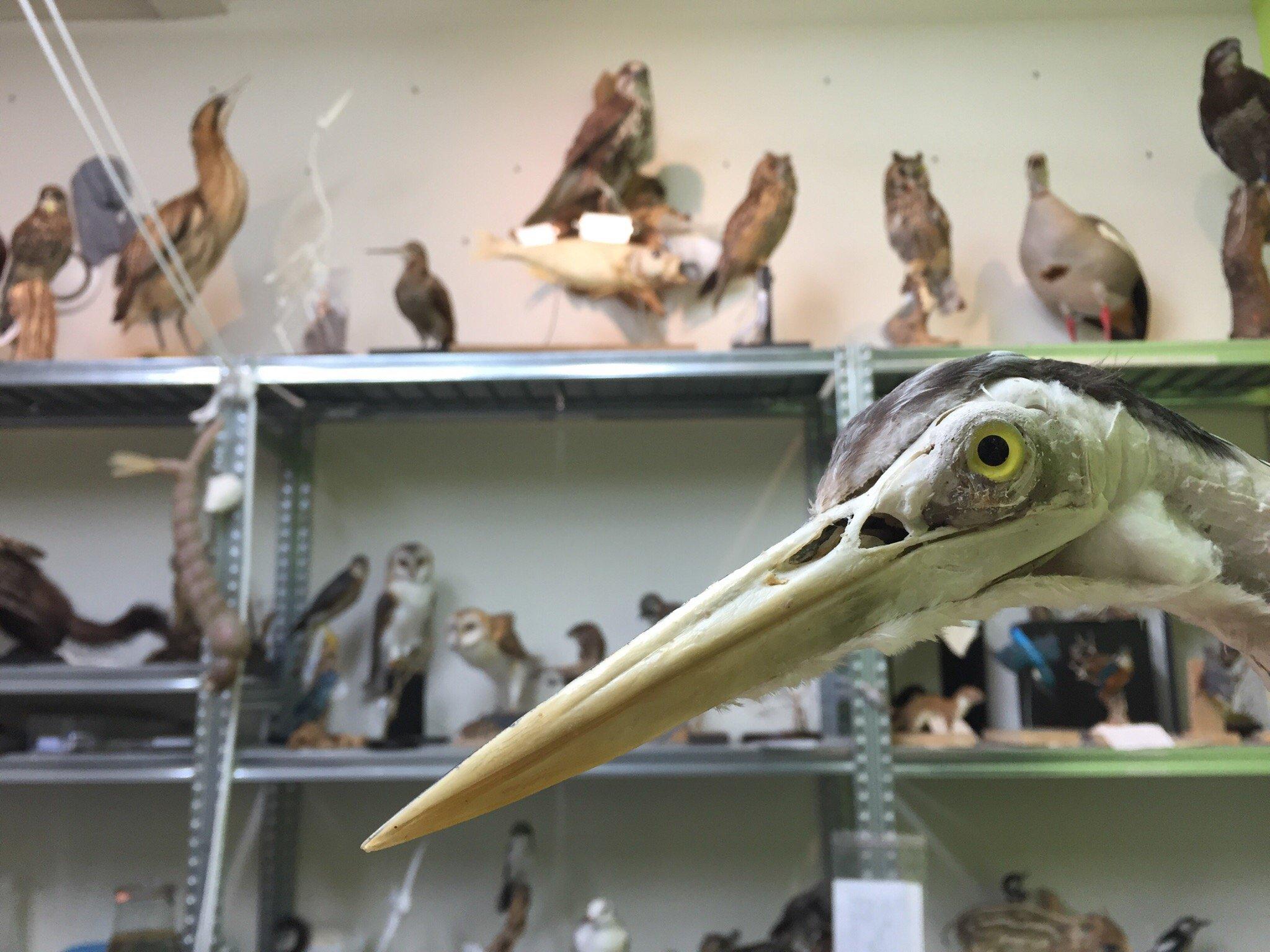 Natuurmuseum Fryslan