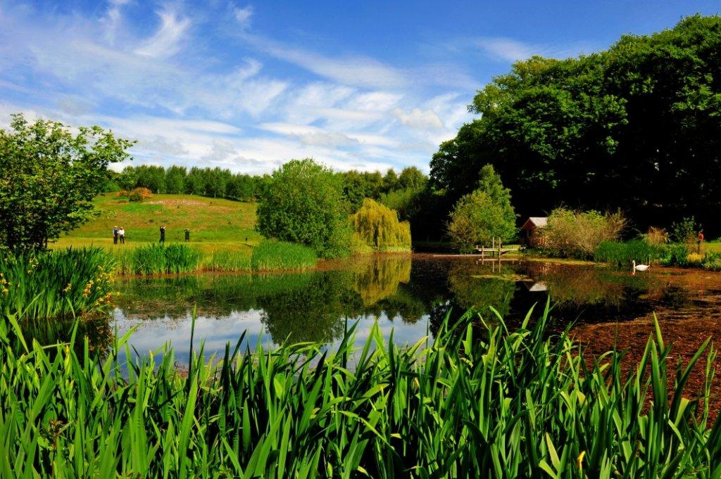 Strathmore Golf Centre Restaurant