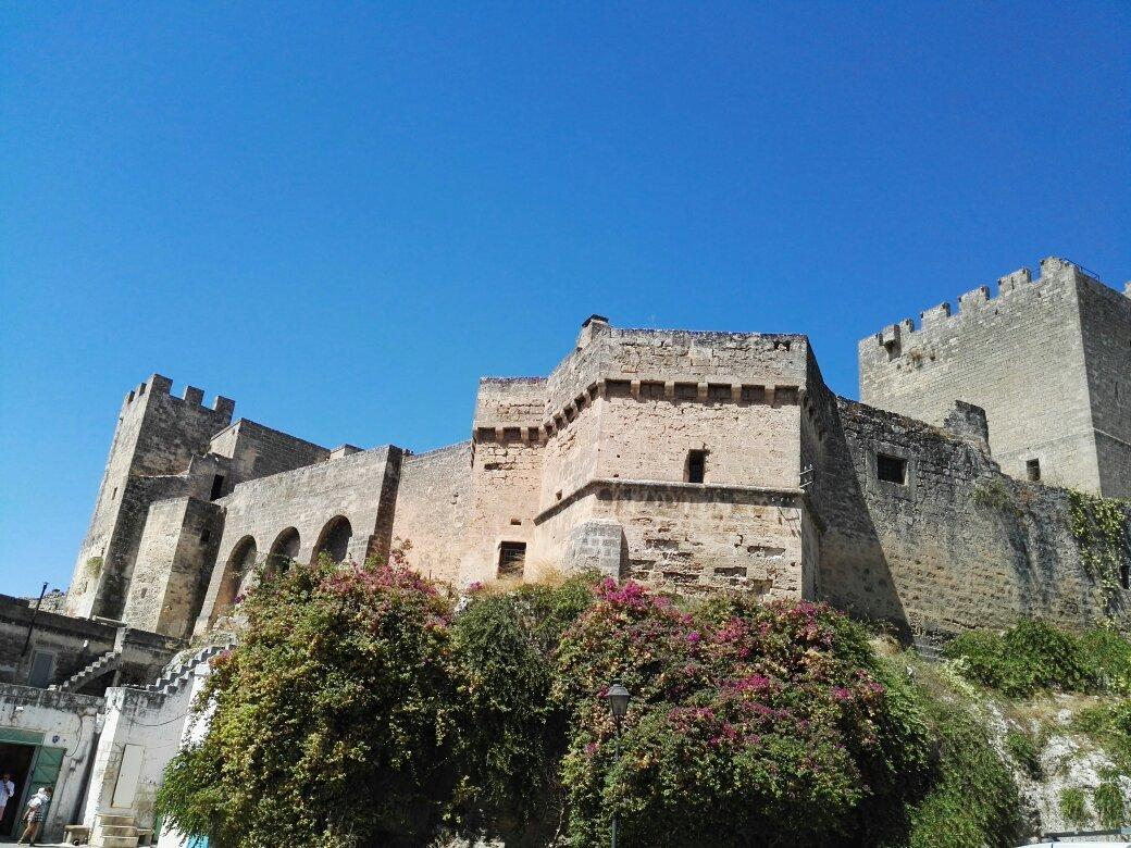 Photo by 261alessandrat