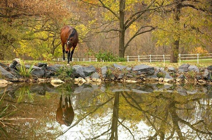 Photo by Sightseer662829