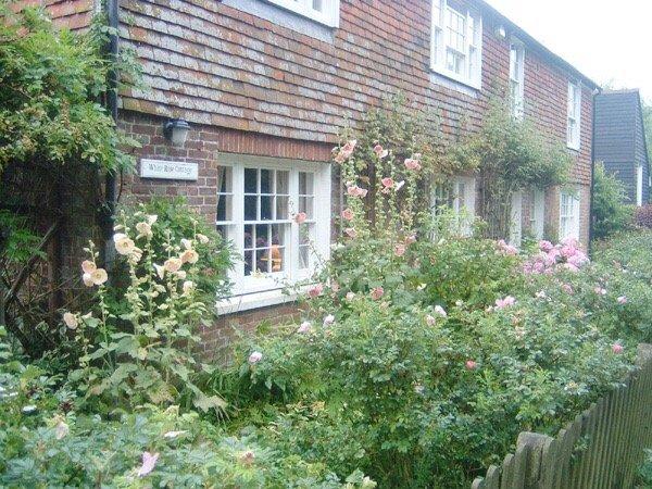 Applebloom Bed and Breakfast